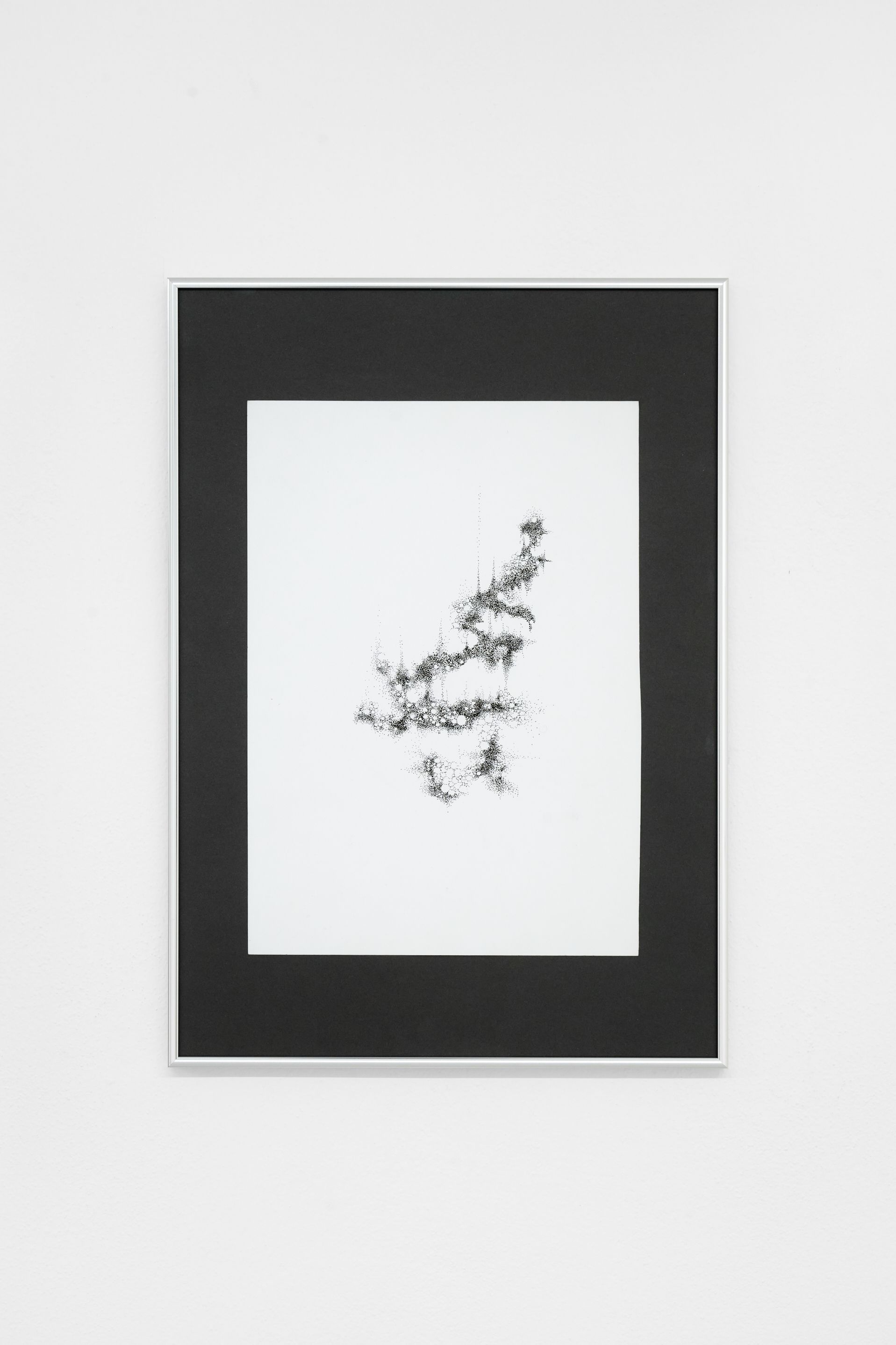 Nicole Colombo. Seeds of presence // Seeds of absence, image 10