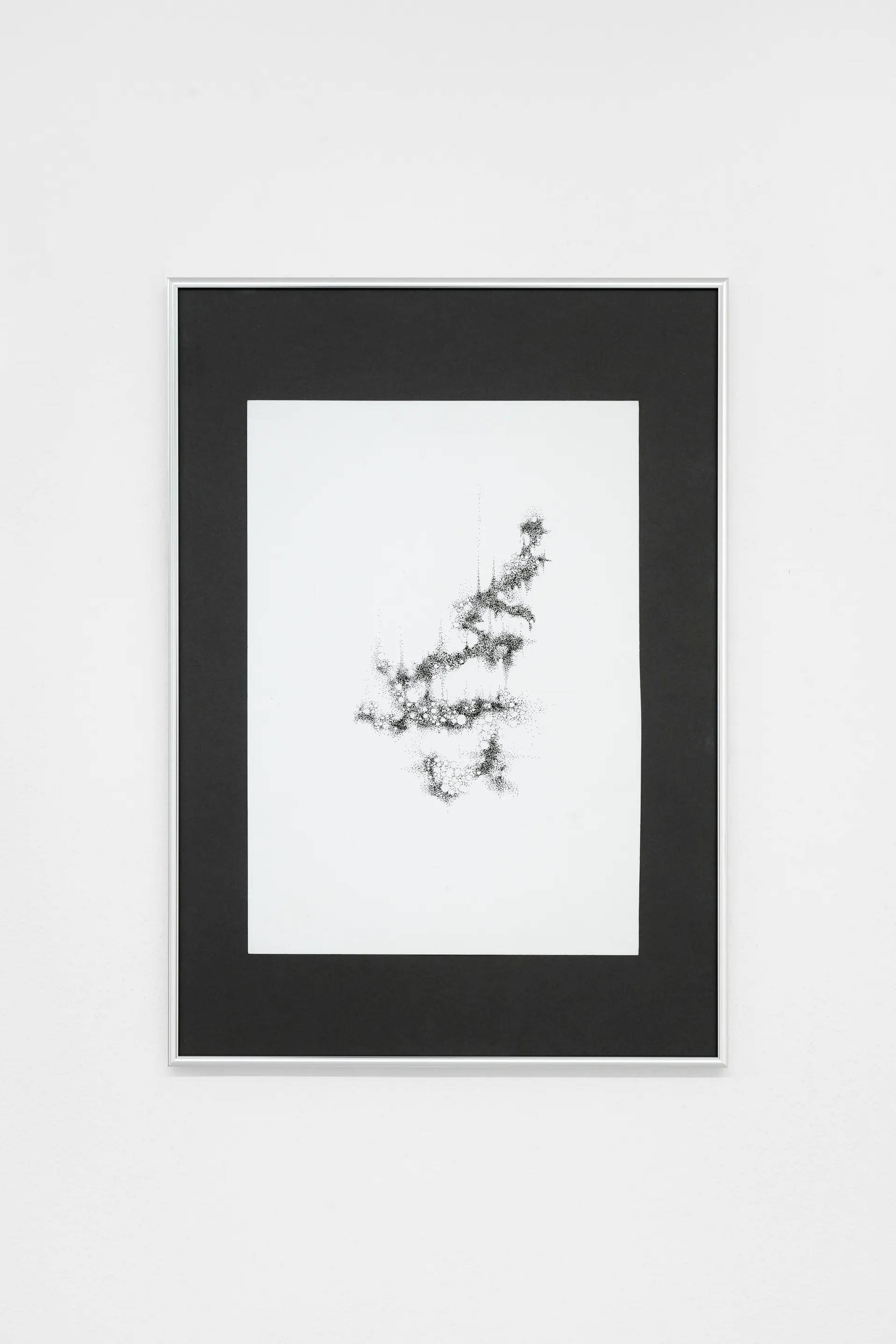 Nicole Colombo. Seeds of presence // Seeds of absence, image 10