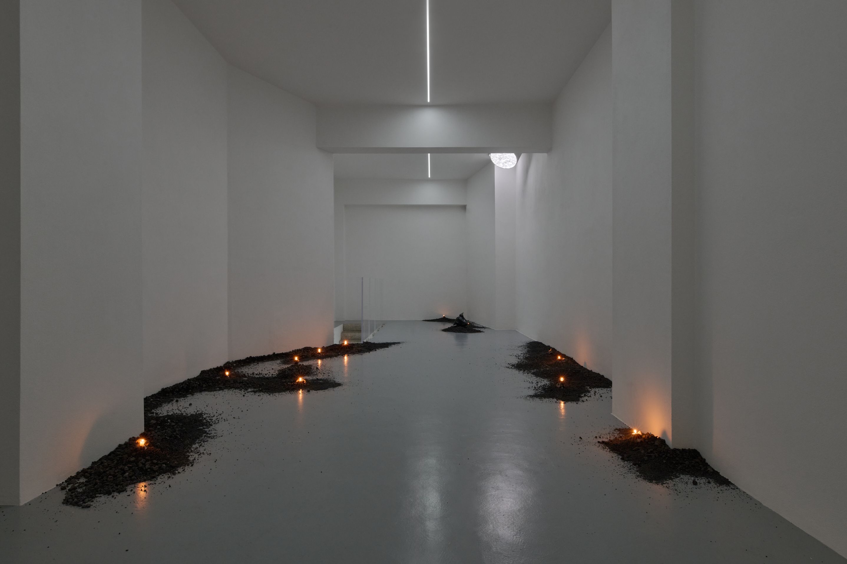 Nicole Colombo. Seeds of presence // Seeds of absence, image 4