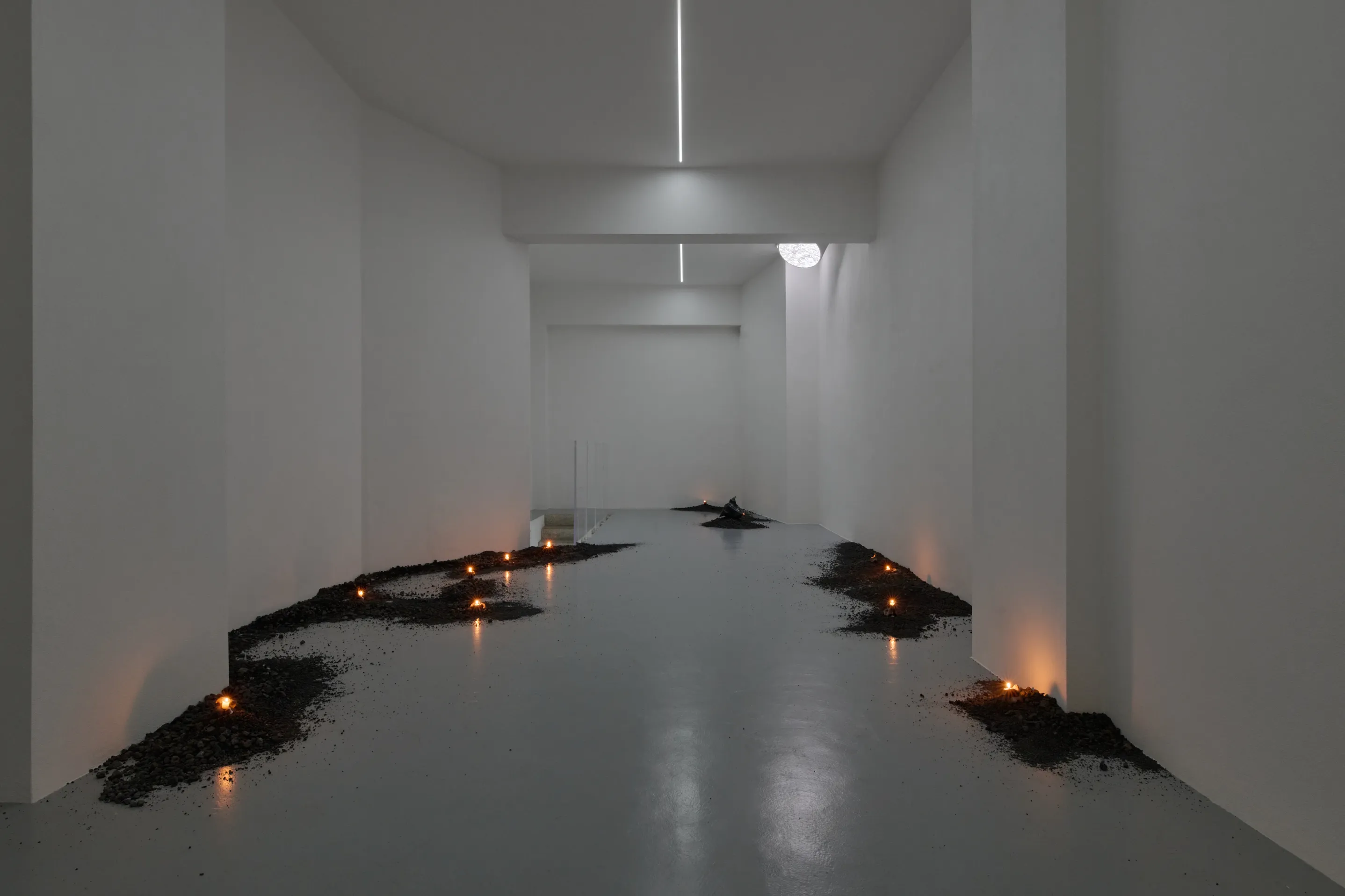 Nicole Colombo. Seeds of presence // Seeds of absence, image 4