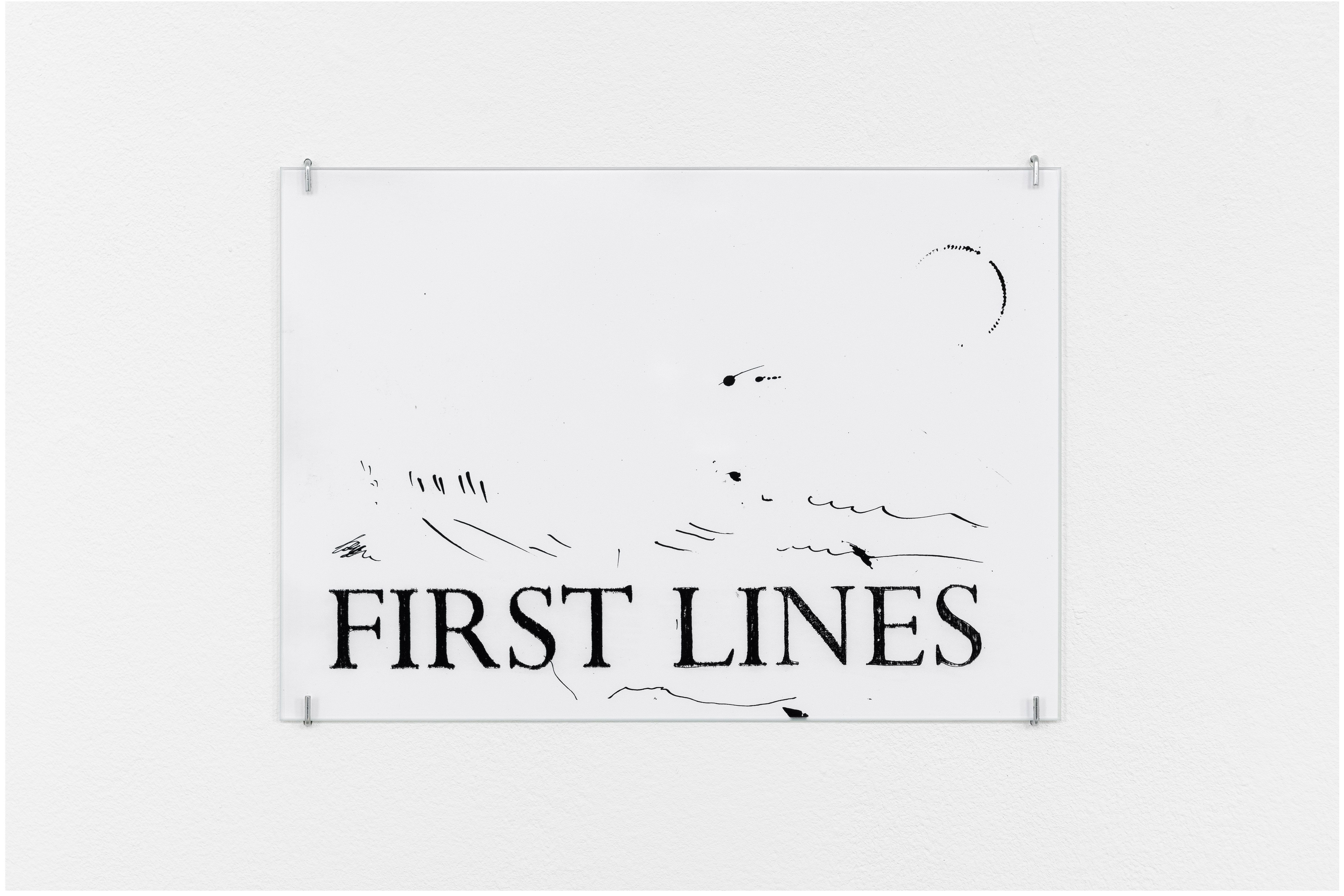First Lines by Samuel Haitz