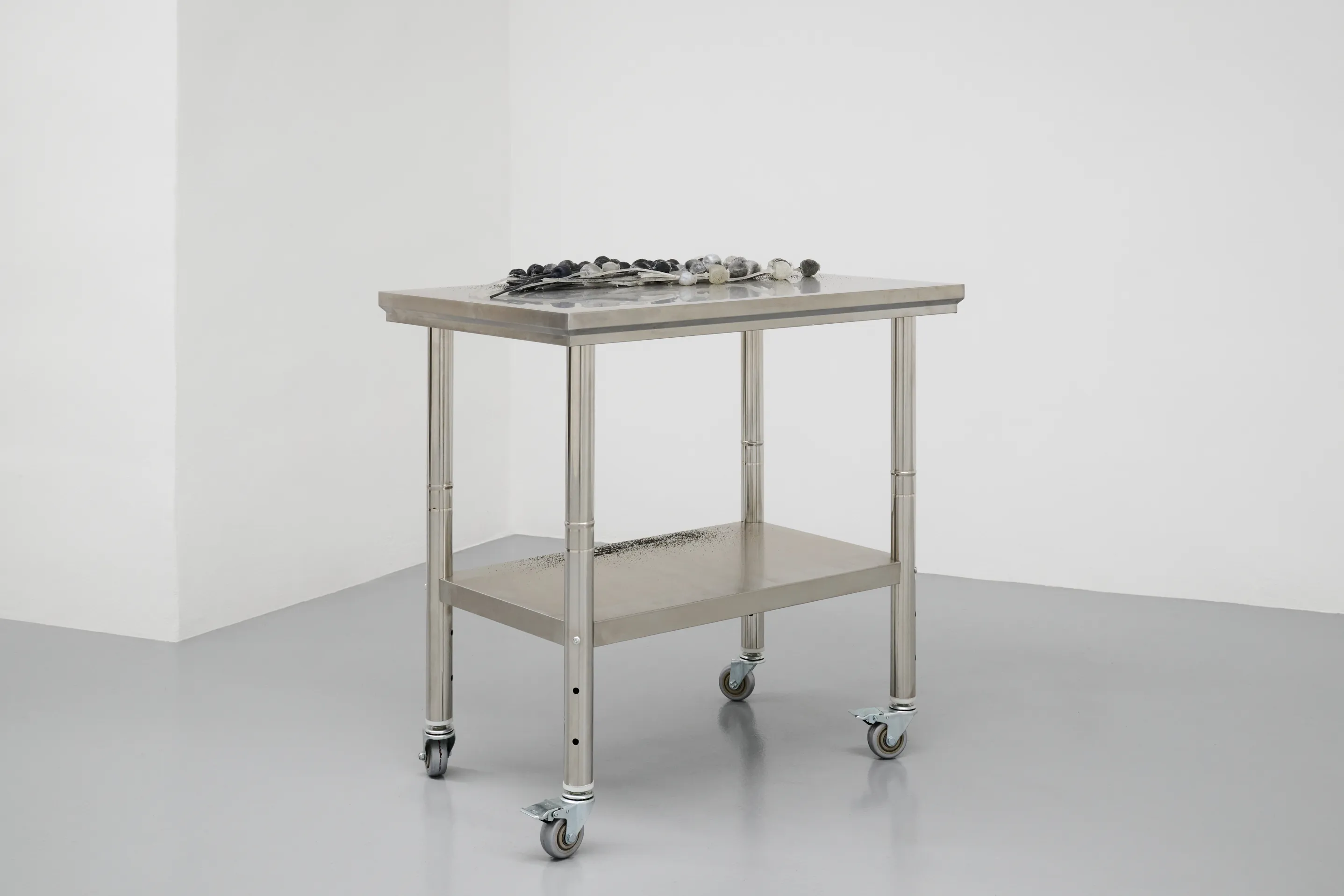 Nicole Colombo. Seeds of presence // Seeds of absence, image 7