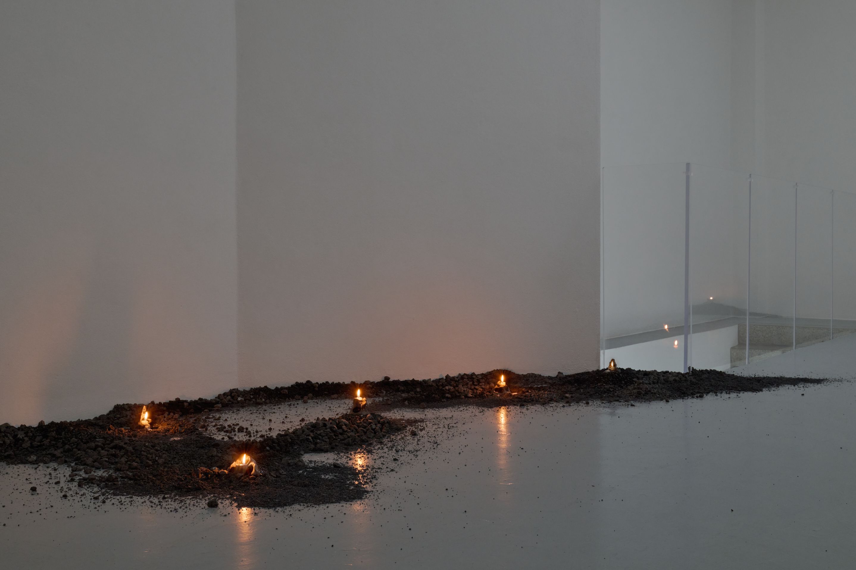 Nicole Colombo. Seeds of presence // Seeds of absence, image 6