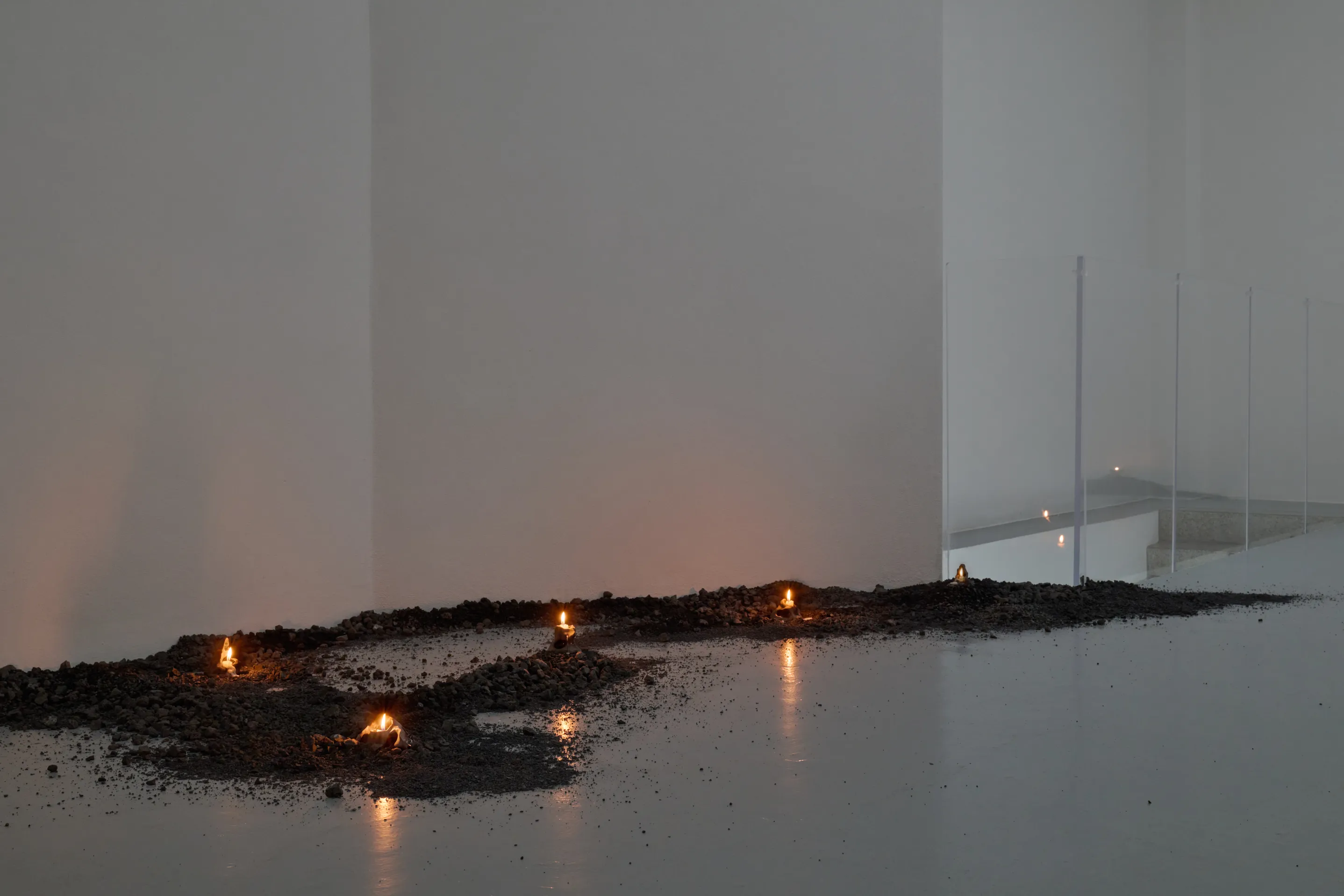 Nicole Colombo. Seeds of presence // Seeds of absence, image 6