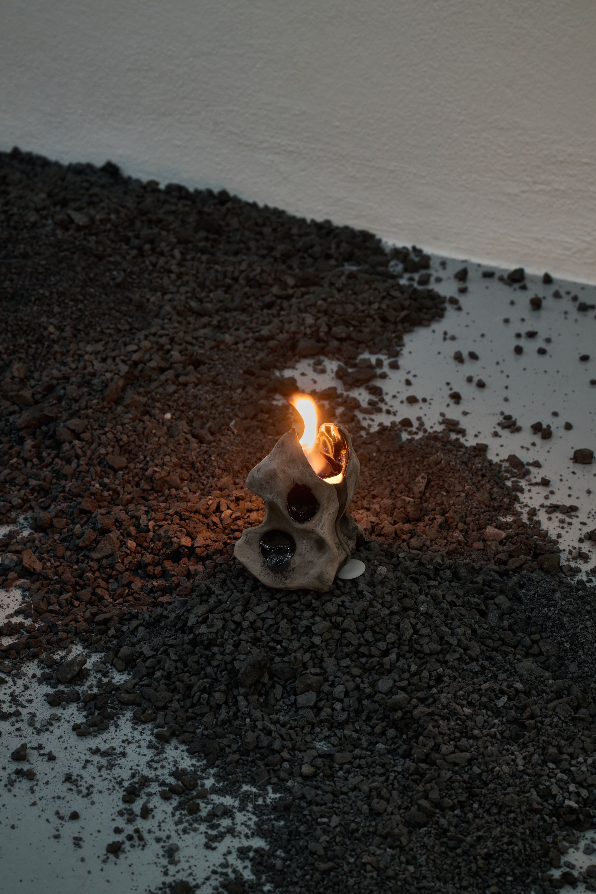 Nicole Colombo. Seeds of presence // Seeds of absence, image 3