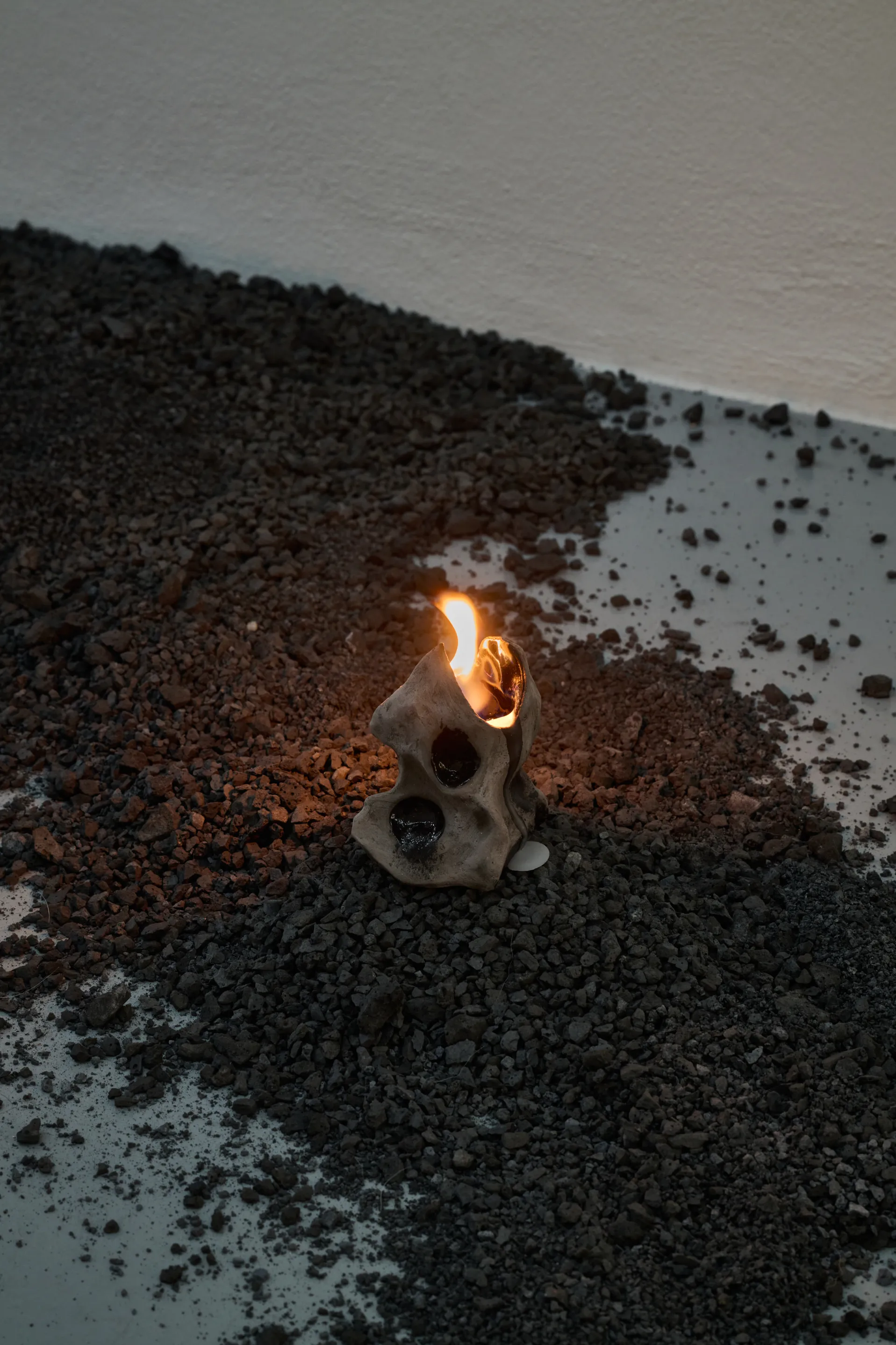 Nicole Colombo. Seeds of presence // Seeds of absence, image 3