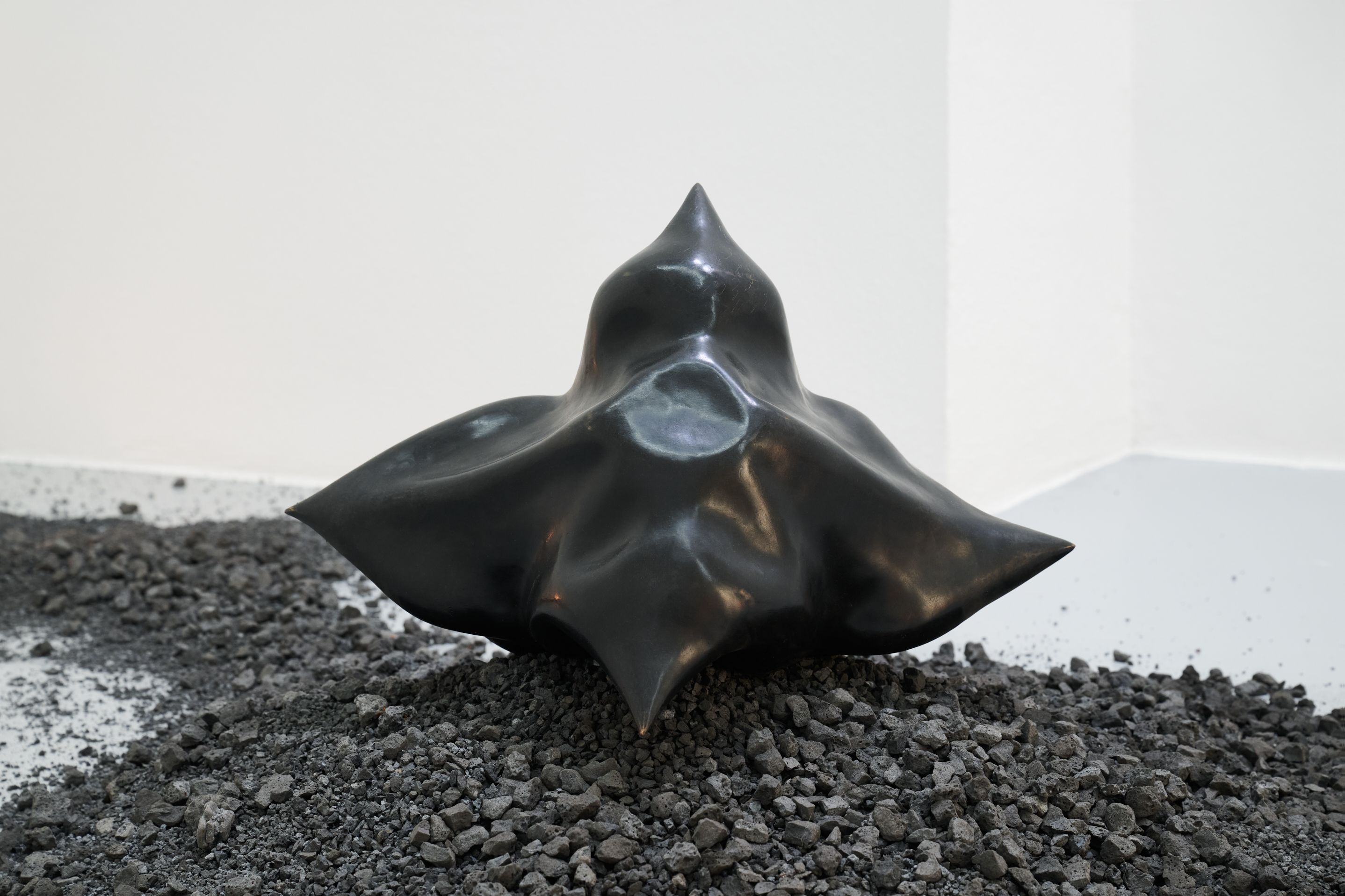 In attempt to become form by Nicole Colombo