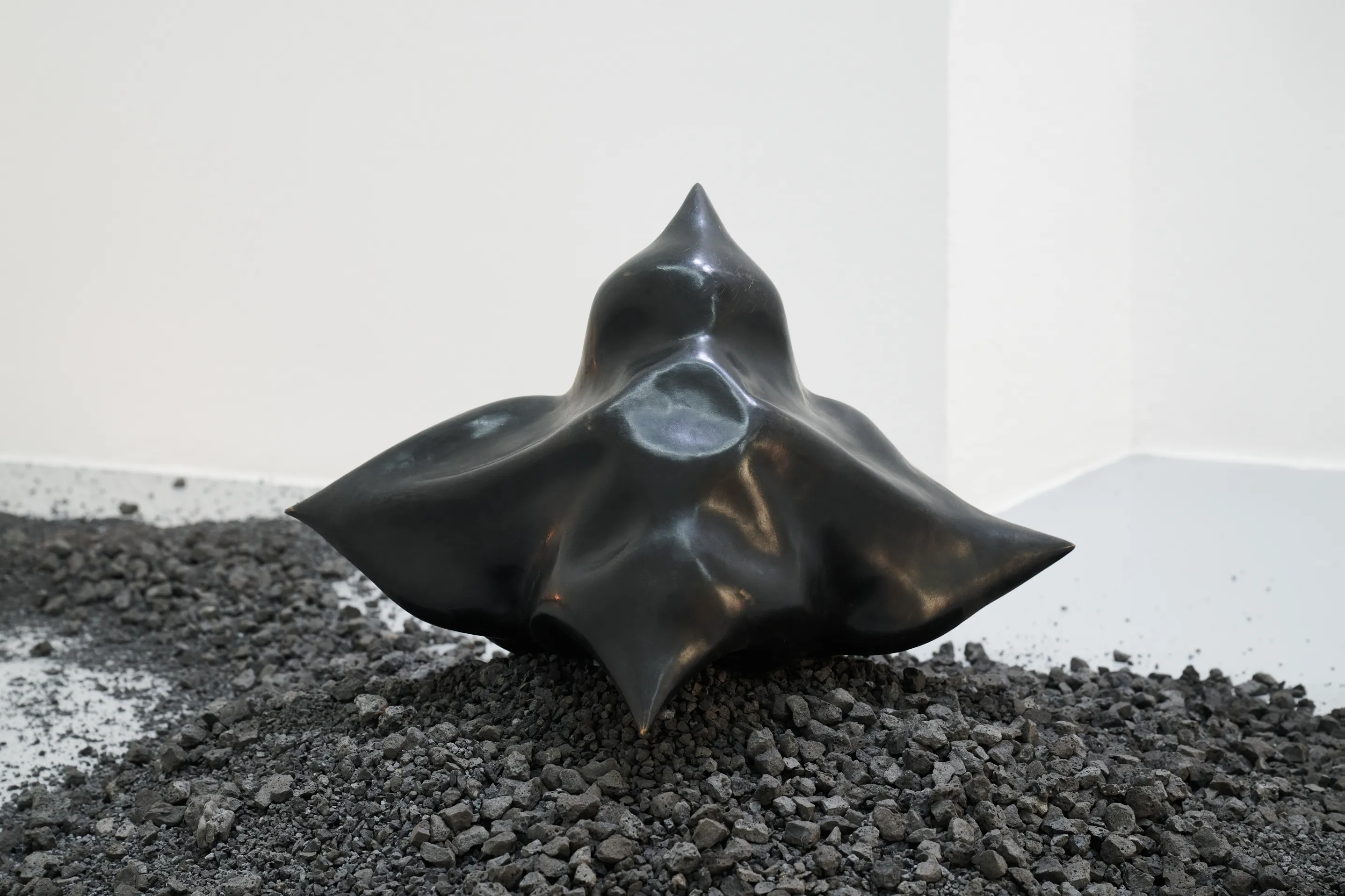 Nicole Colombo. Seeds of presence // Seeds of absence, image 5