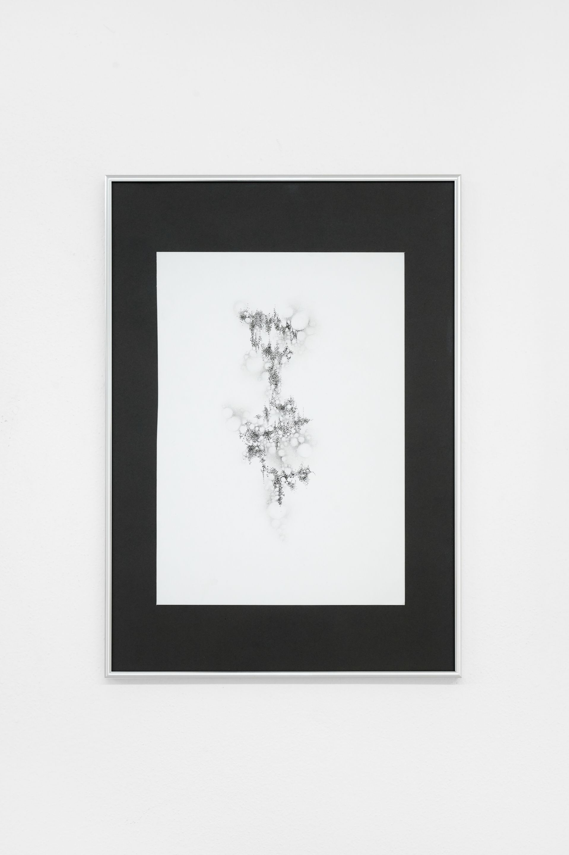 Nicole Colombo. Seeds of presence // Seeds of absence, image 9