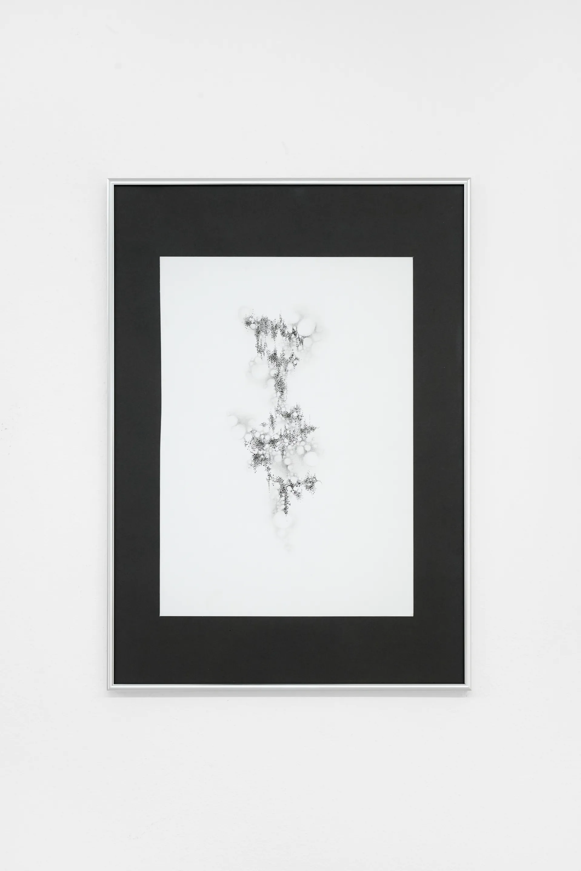 Nicole Colombo. Seeds of presence // Seeds of absence, image 9
