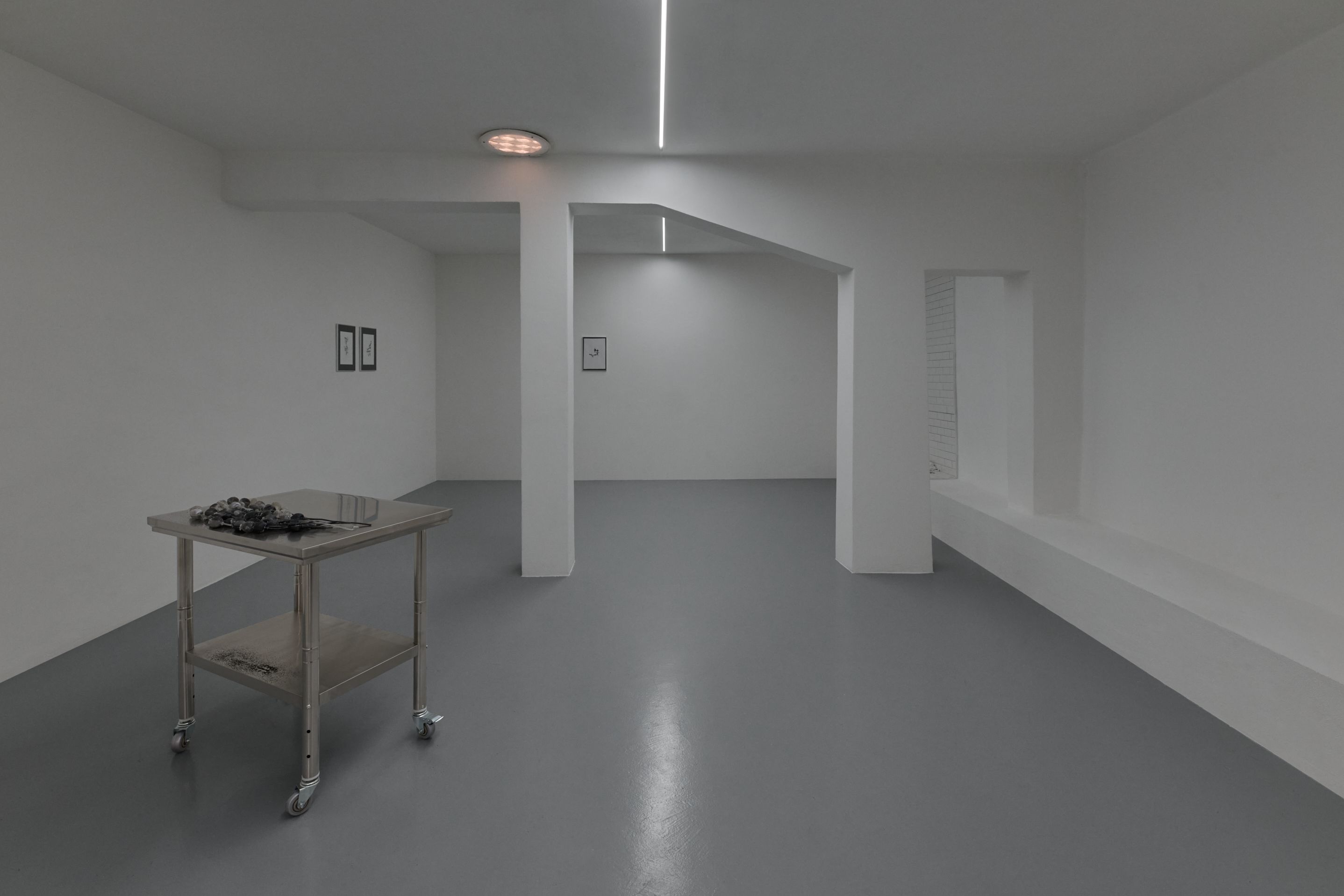Installation view by Nicole Colombo