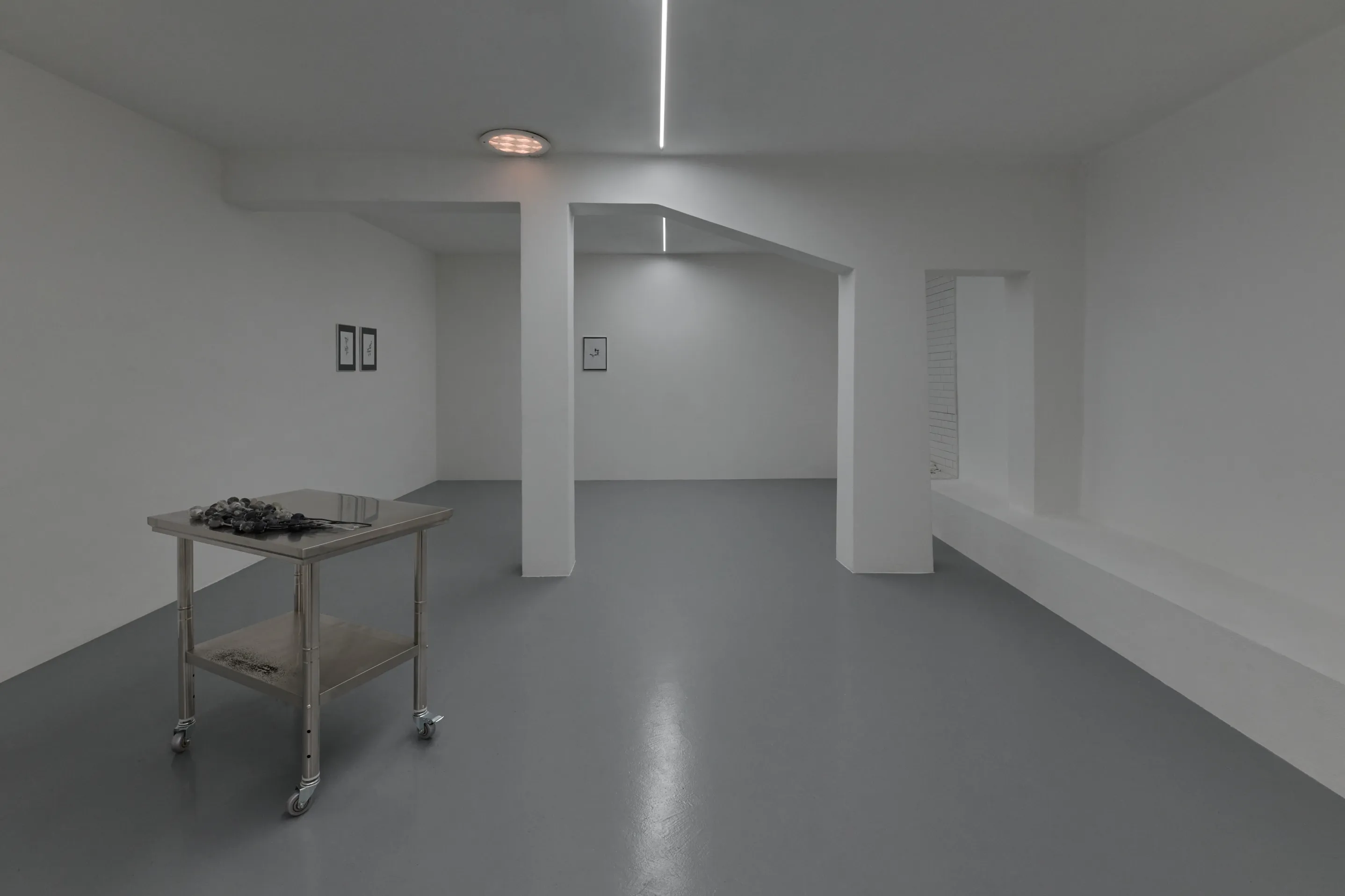 Nicole Colombo. Seeds of presence // Seeds of absence, image 13