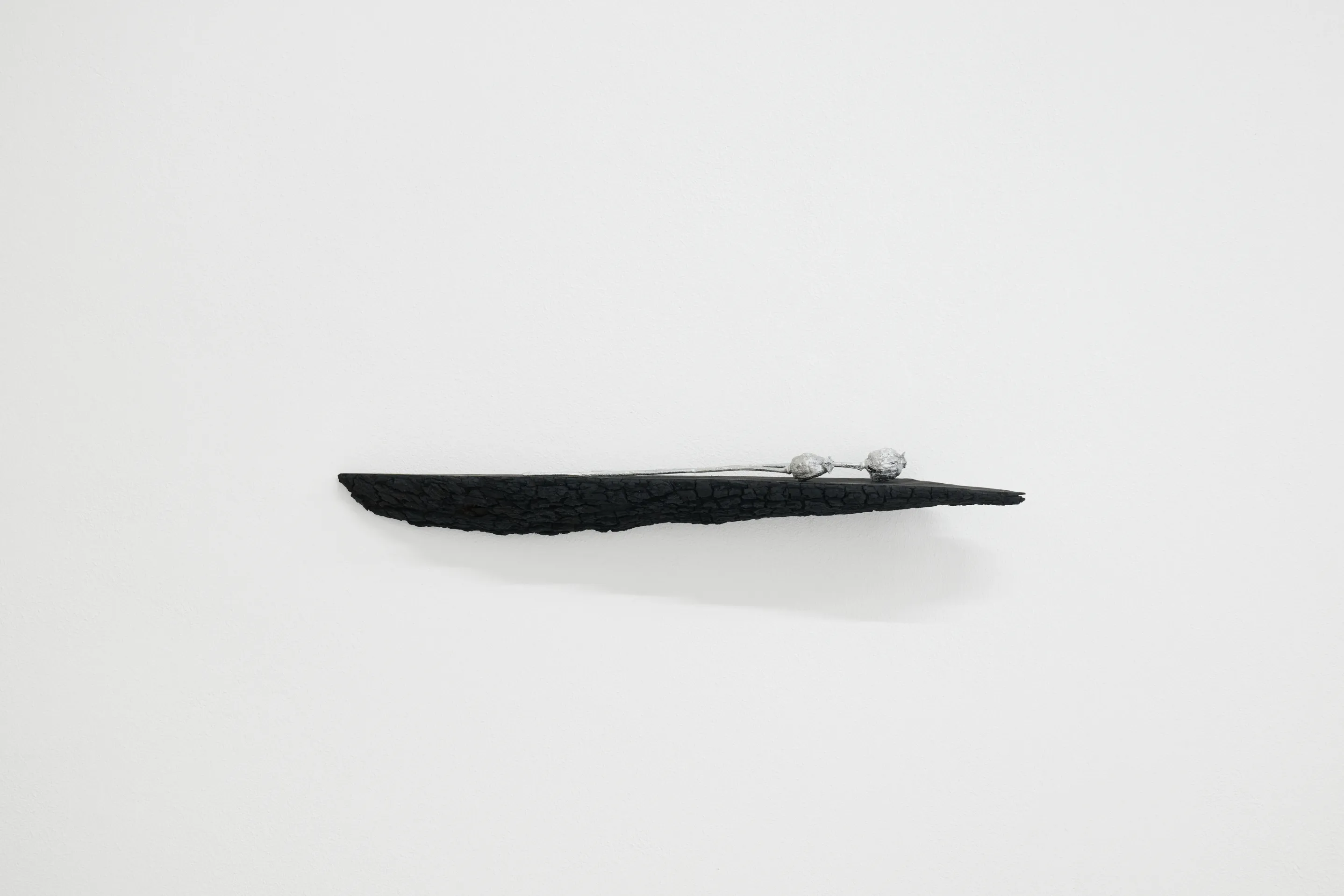 Nicole Colombo. Seeds of presence // Seeds of absence, image 1
