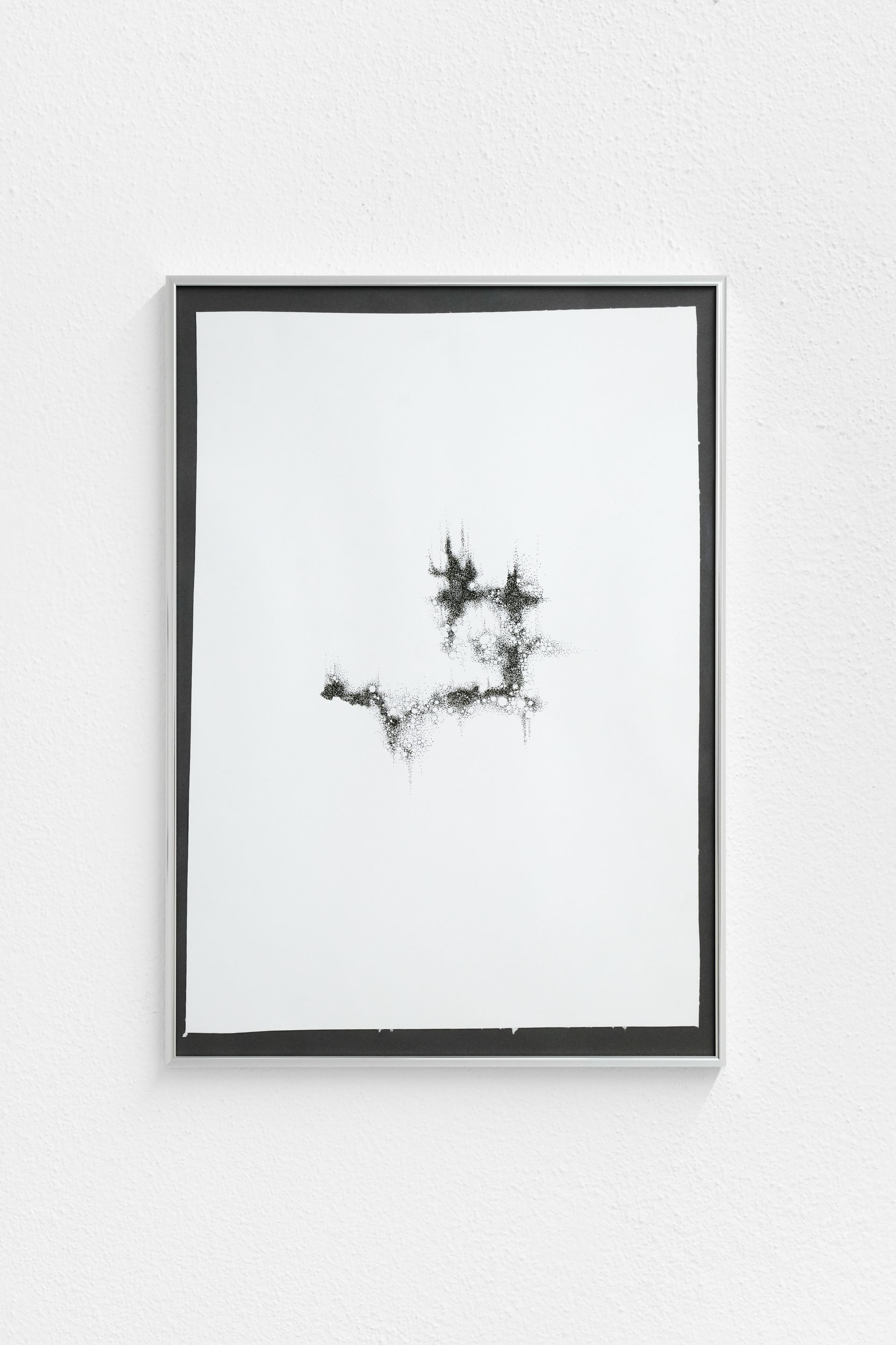 Nicole Colombo. Seeds of presence // Seeds of absence, image 11