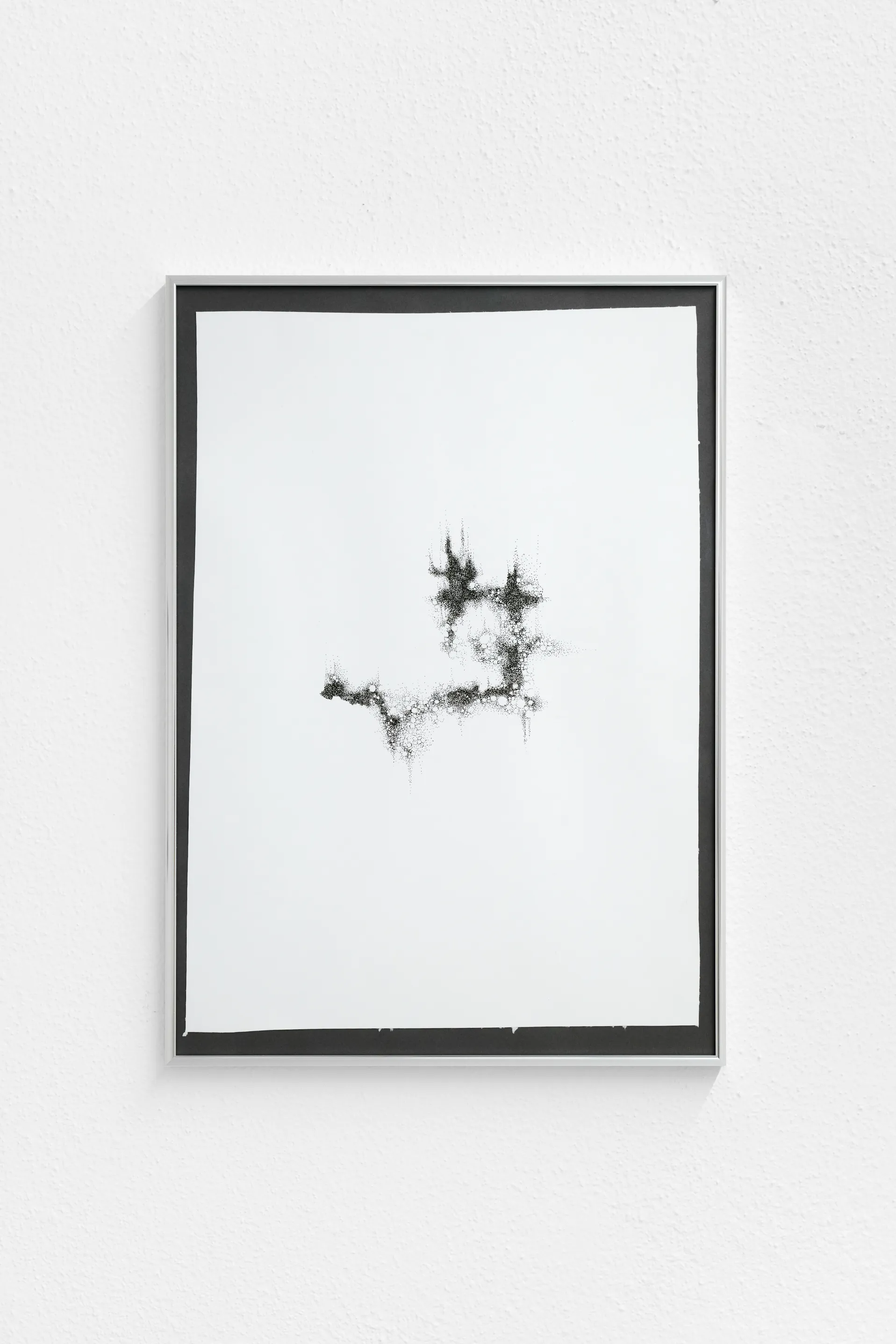 Nicole Colombo. Seeds of presence // Seeds of absence, image 11