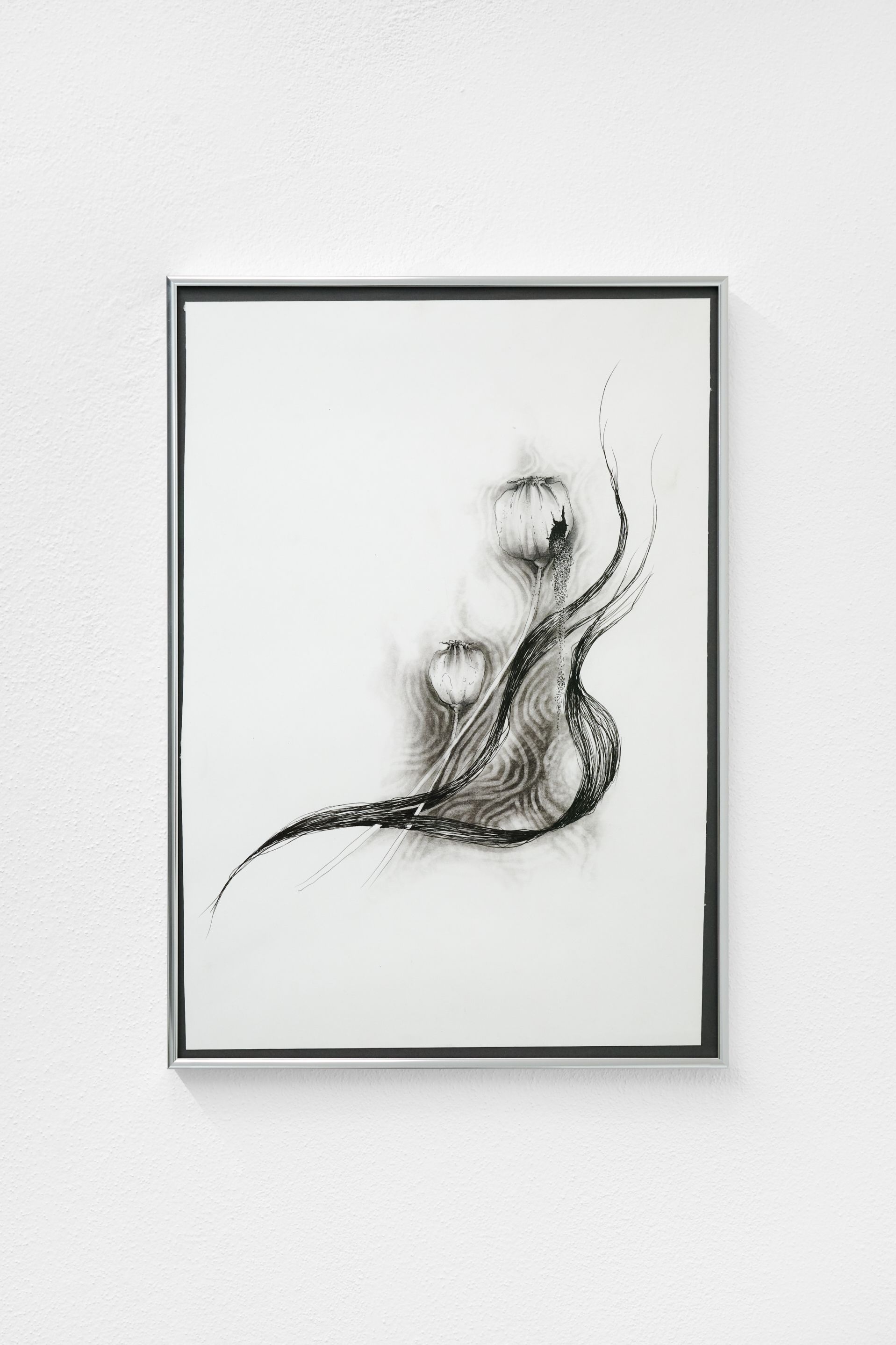Nicole Colombo. Seeds of presence // Seeds of absence, image 8