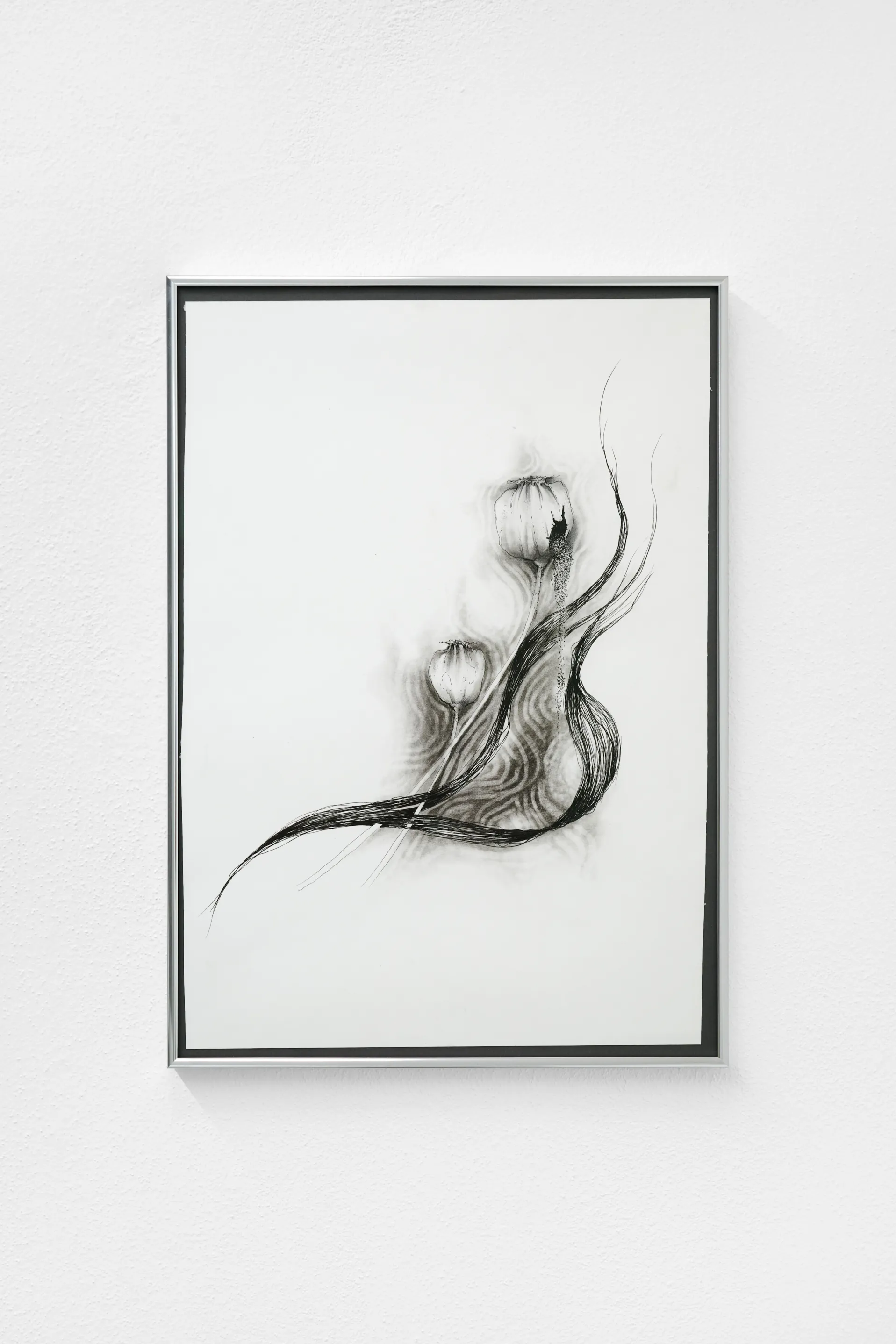 Nicole Colombo. Seeds of presence // Seeds of absence, image 8