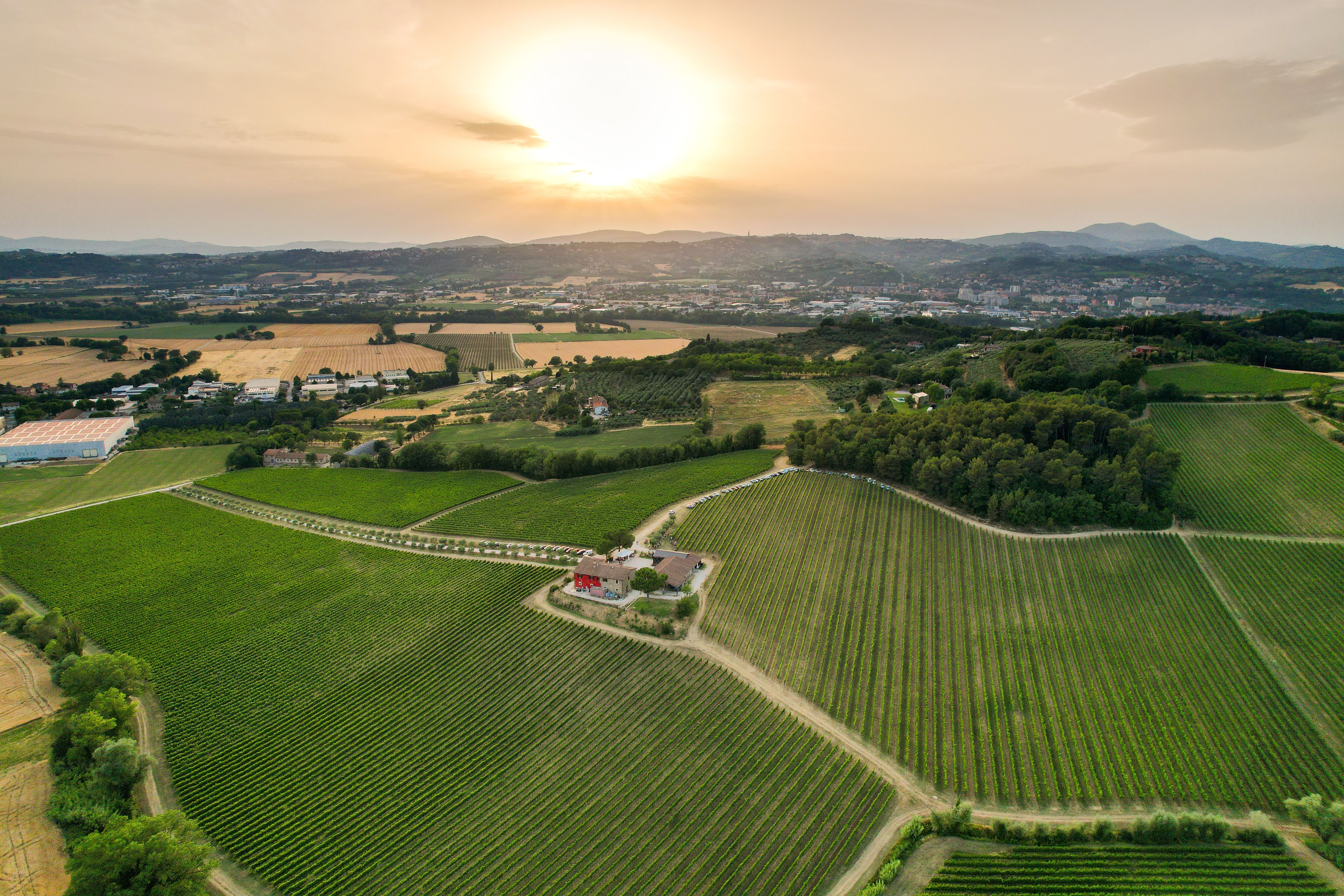 South, by way of the wine estate