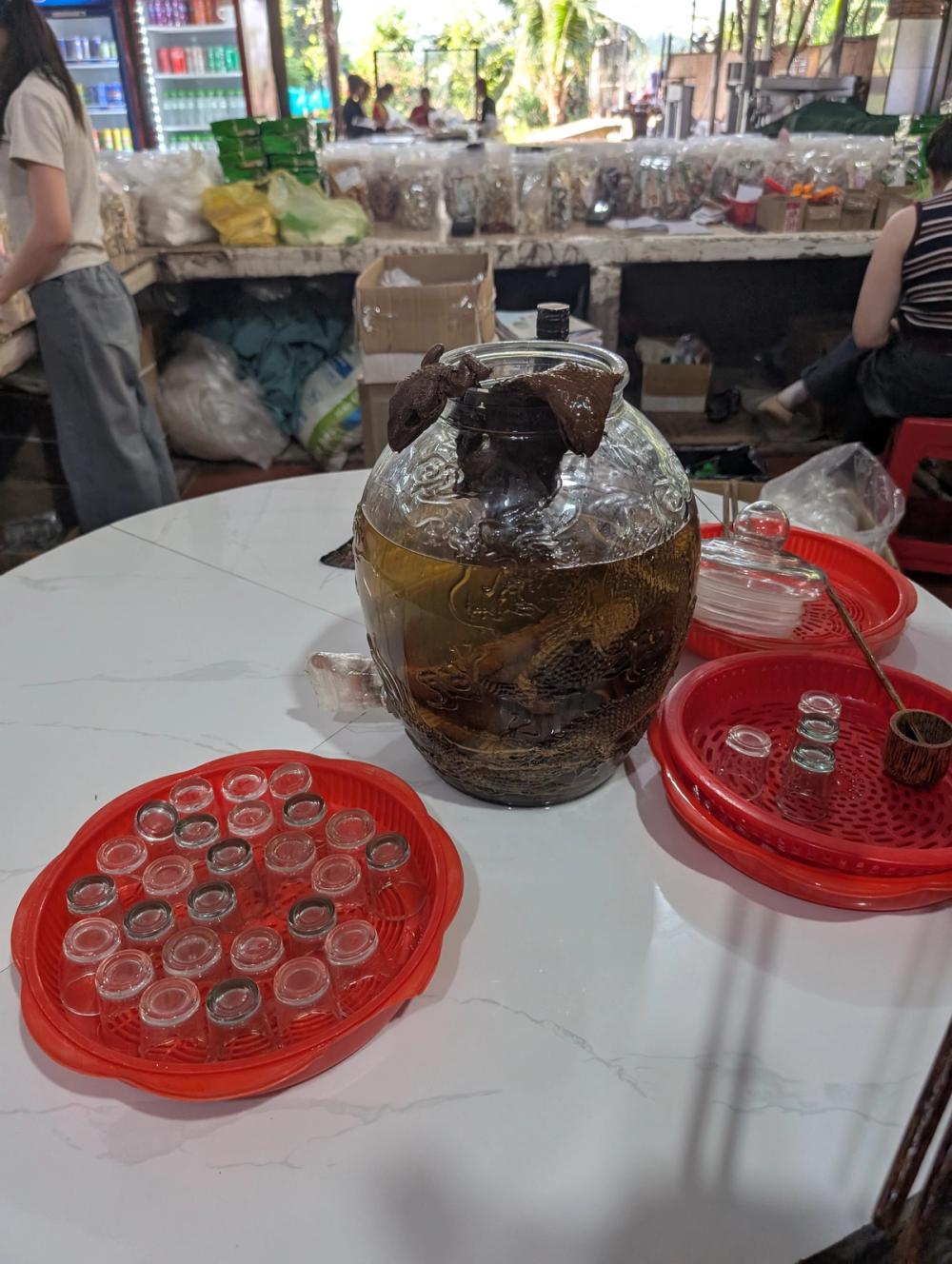 Snake Wine