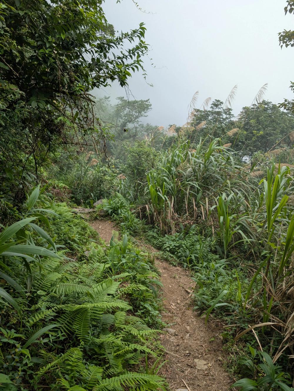 Wanderweg bergab mitten in den Wolken