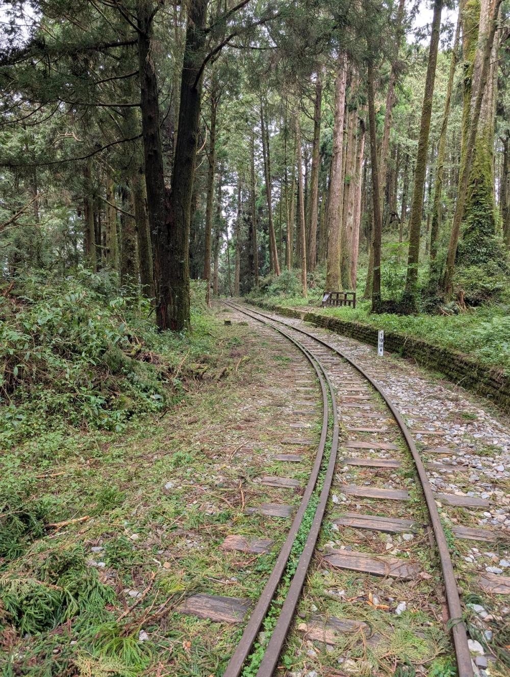 Alte Zugstrecke, heute Wanderweg