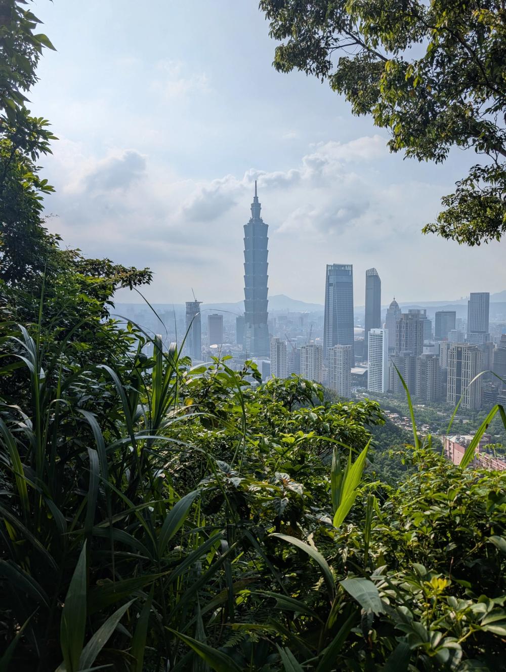 Taipei 101 vom Elephant Peak