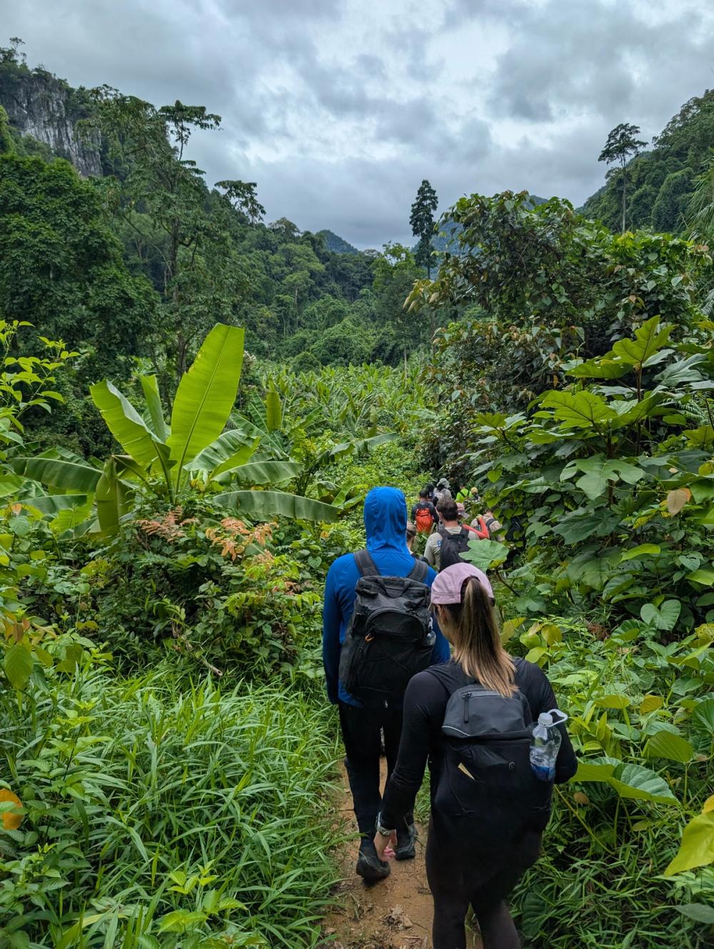 Wanderung durch Dschungel