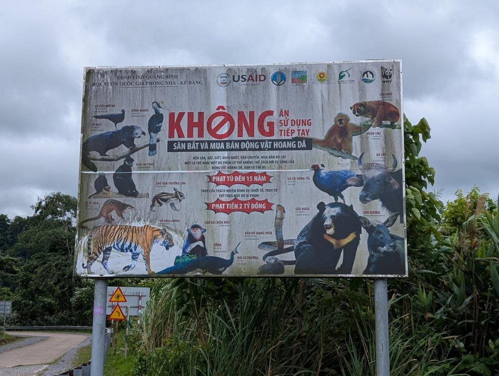 Plakat gefährlicher Tiere im Dschungel