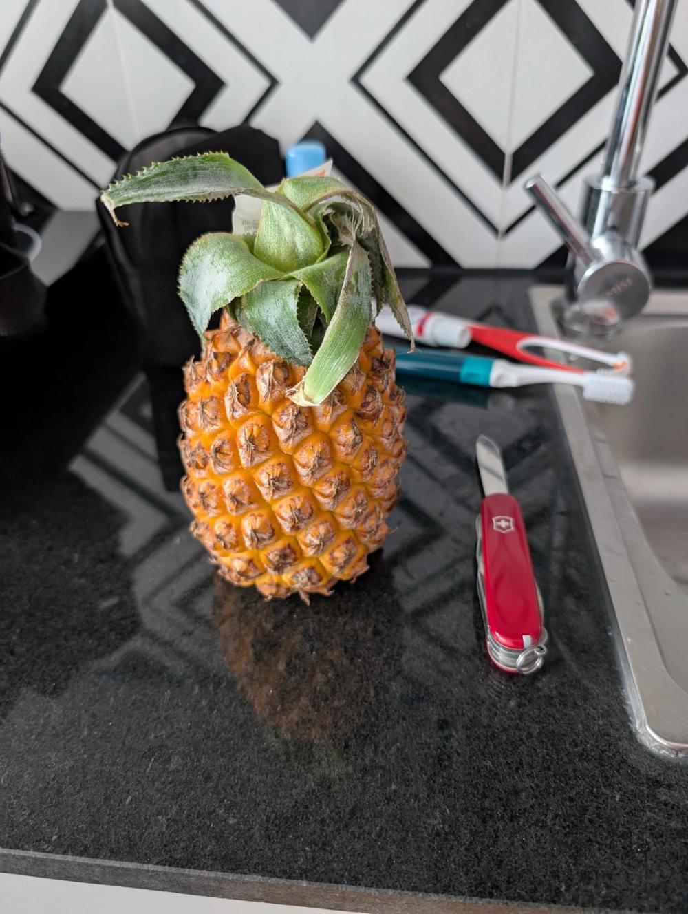 Ananas auf der Küchenarbeitsplatte