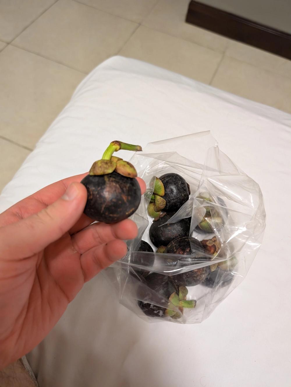 Mangosteen geschlossen auf Beet