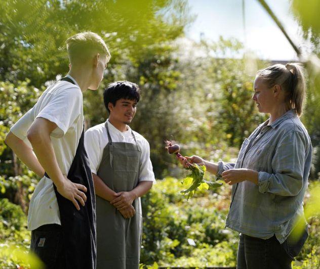 I skolehaven kan elever dyrke deres egne råvarer.