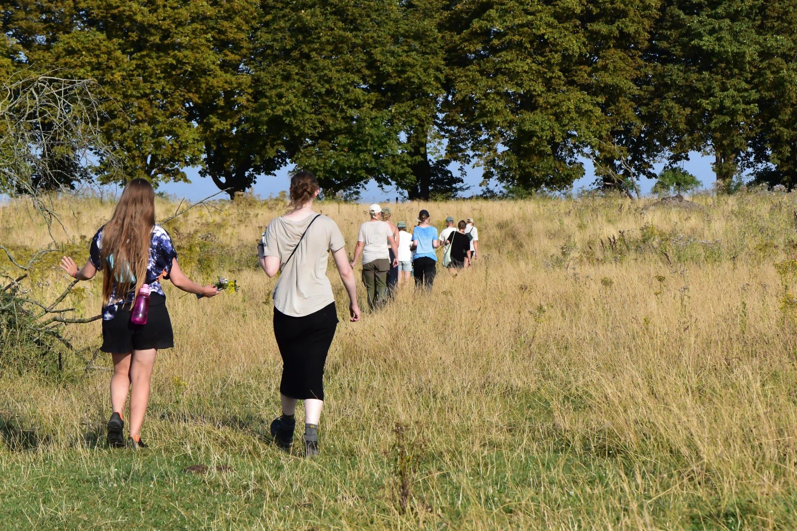 Danmarks Naturfredningsforening