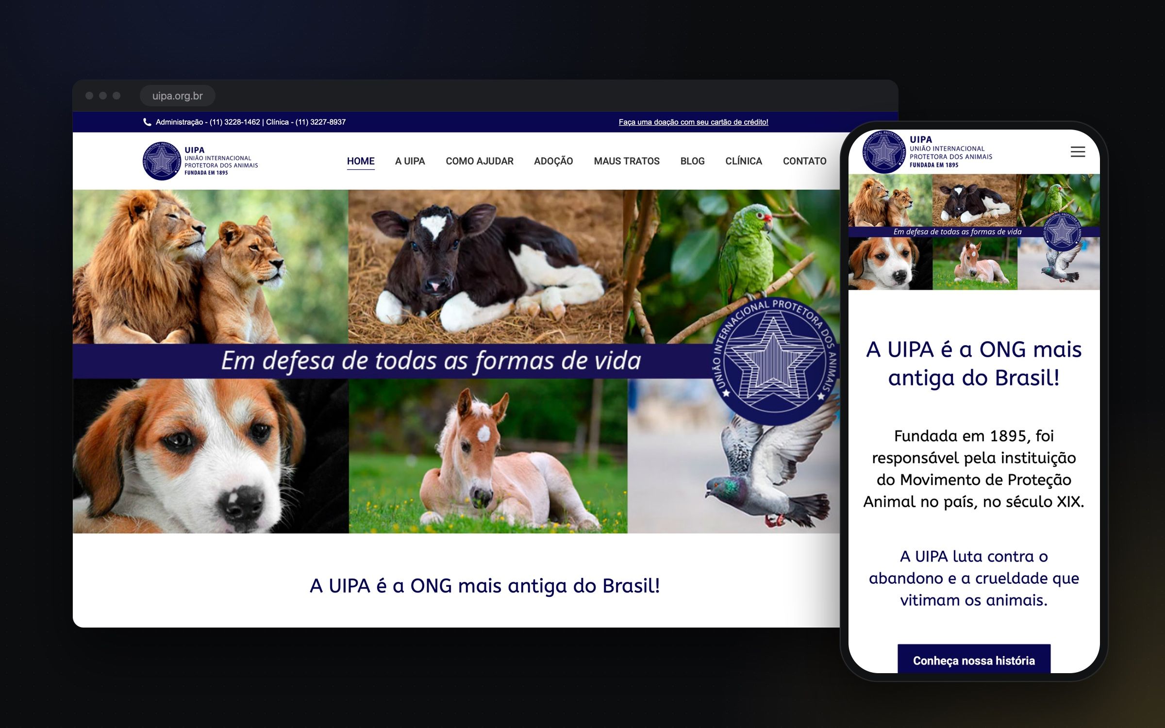 Projeto UIPA