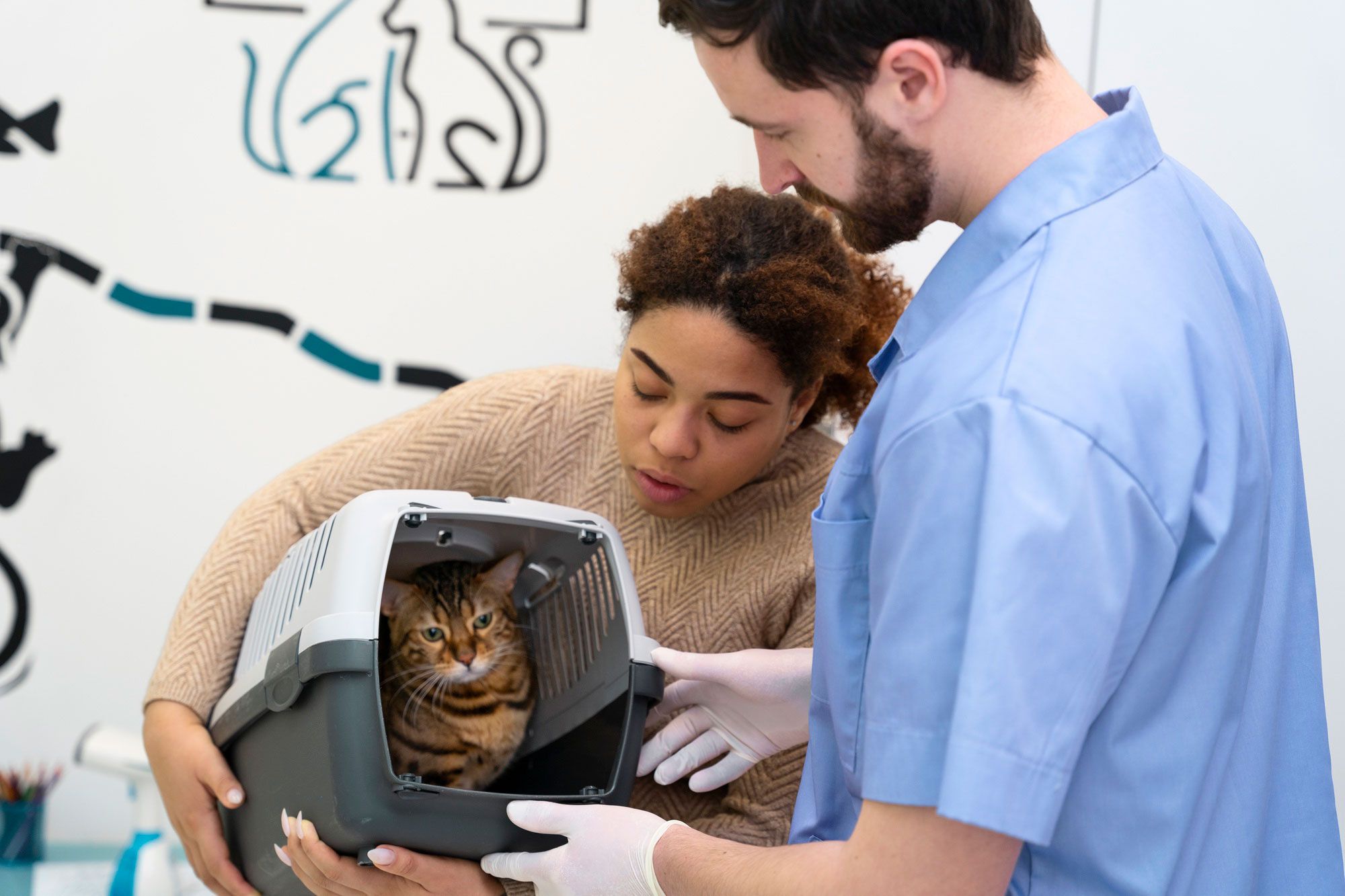4 Estratégias de Marketing para Clínica Veterinária