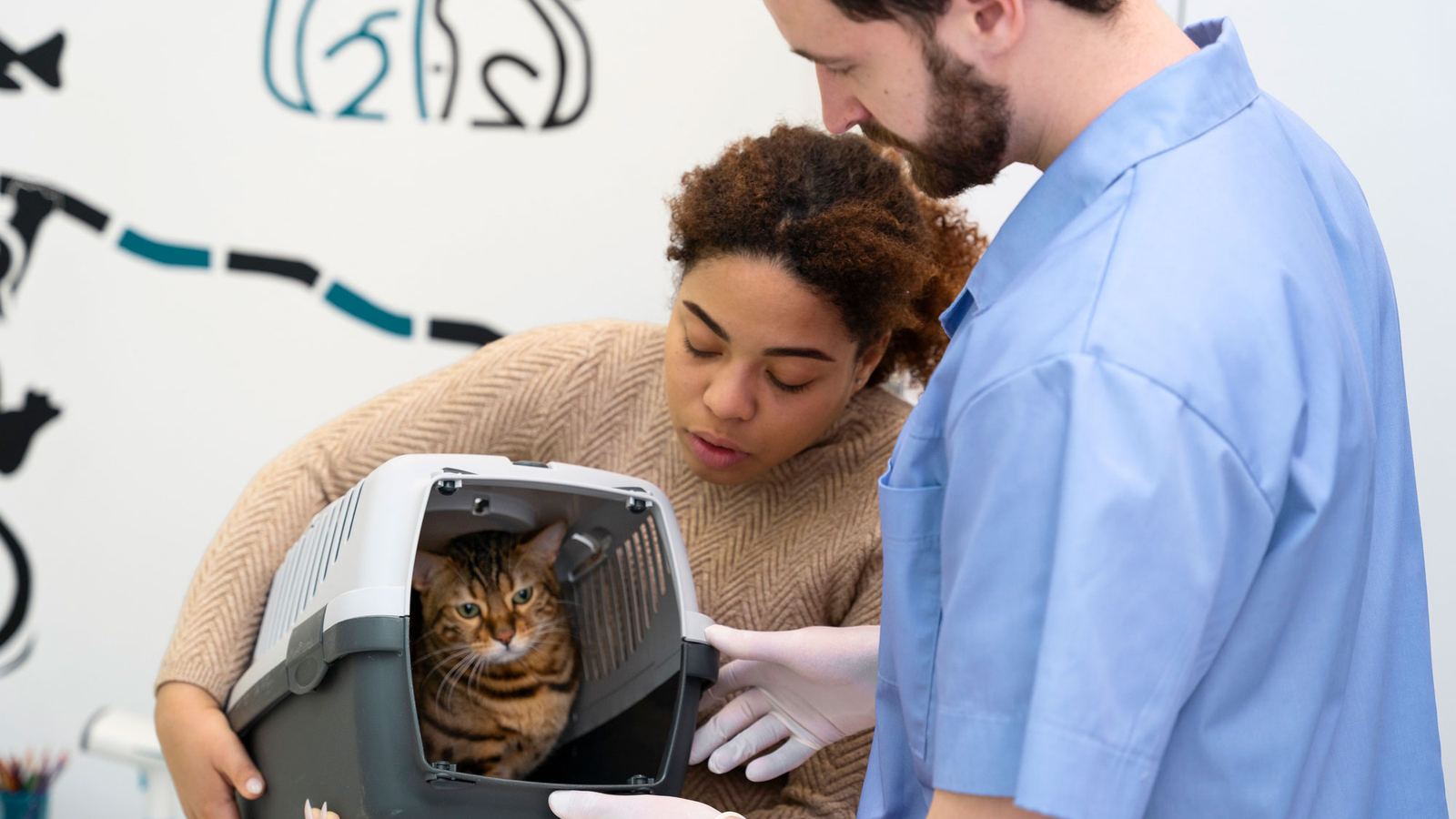 4 Estratégias de Marketing para Clínica Veterinária