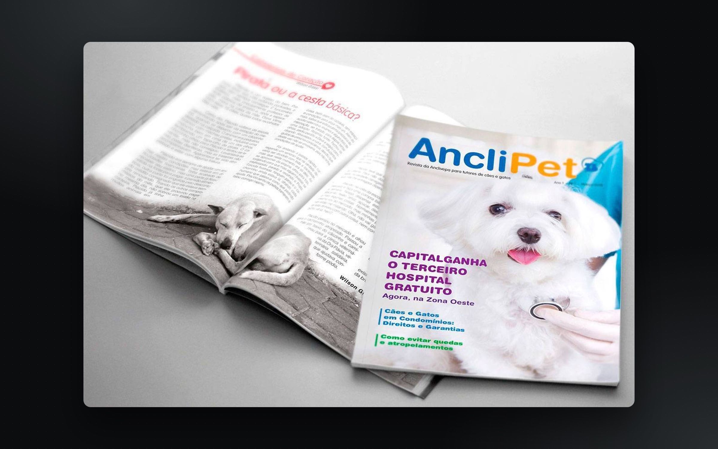 Projeto Revista AncliPet