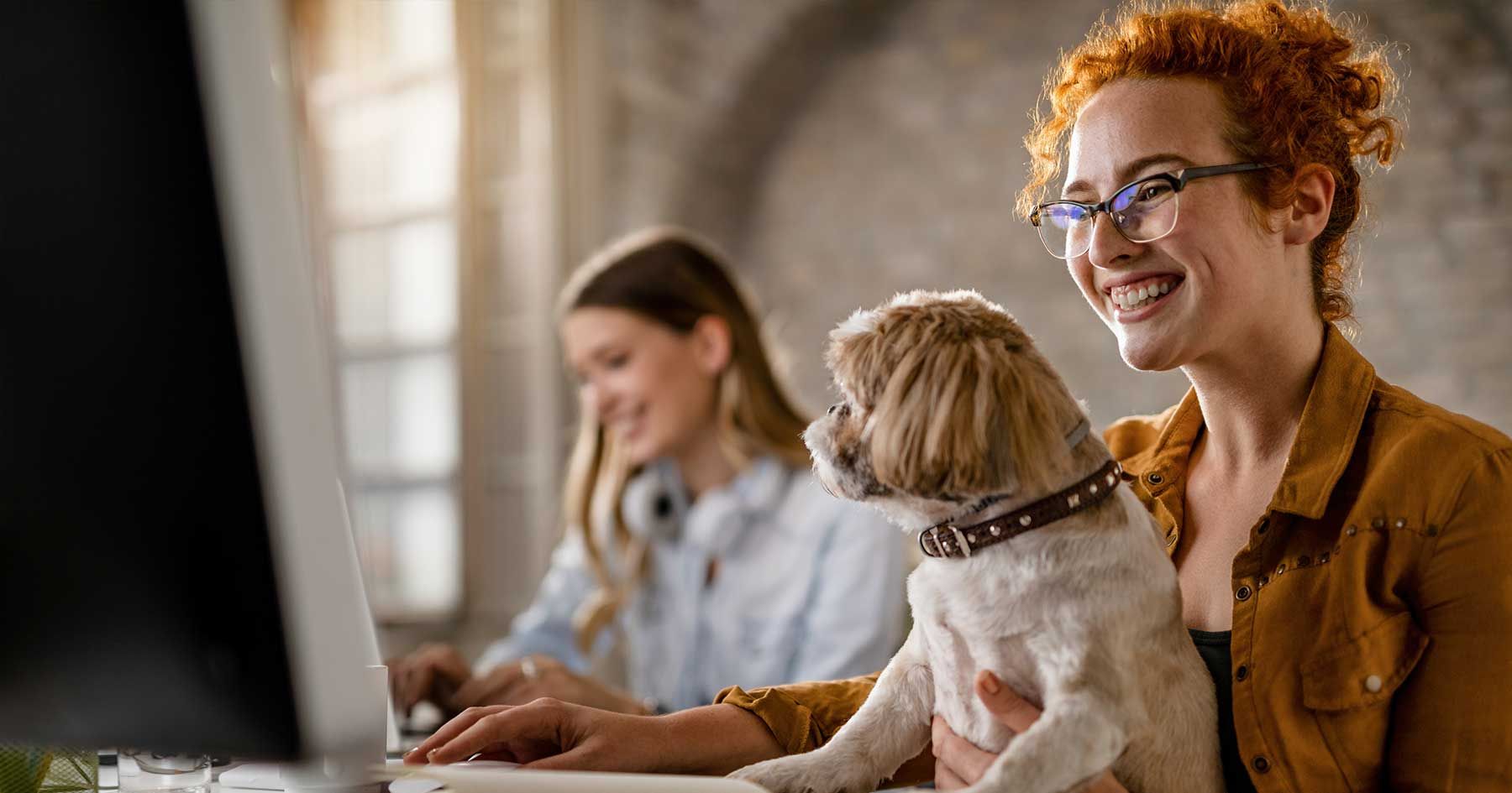 Planos de Saúde Pet: vantagens e desafios para as clínicas veterinárias