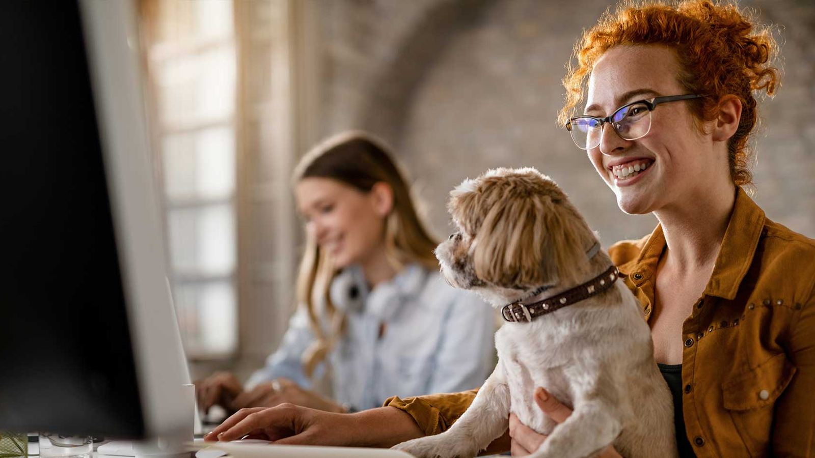 Planos de Saúde Pet: vantagens e desafios para as clínicas veterinárias