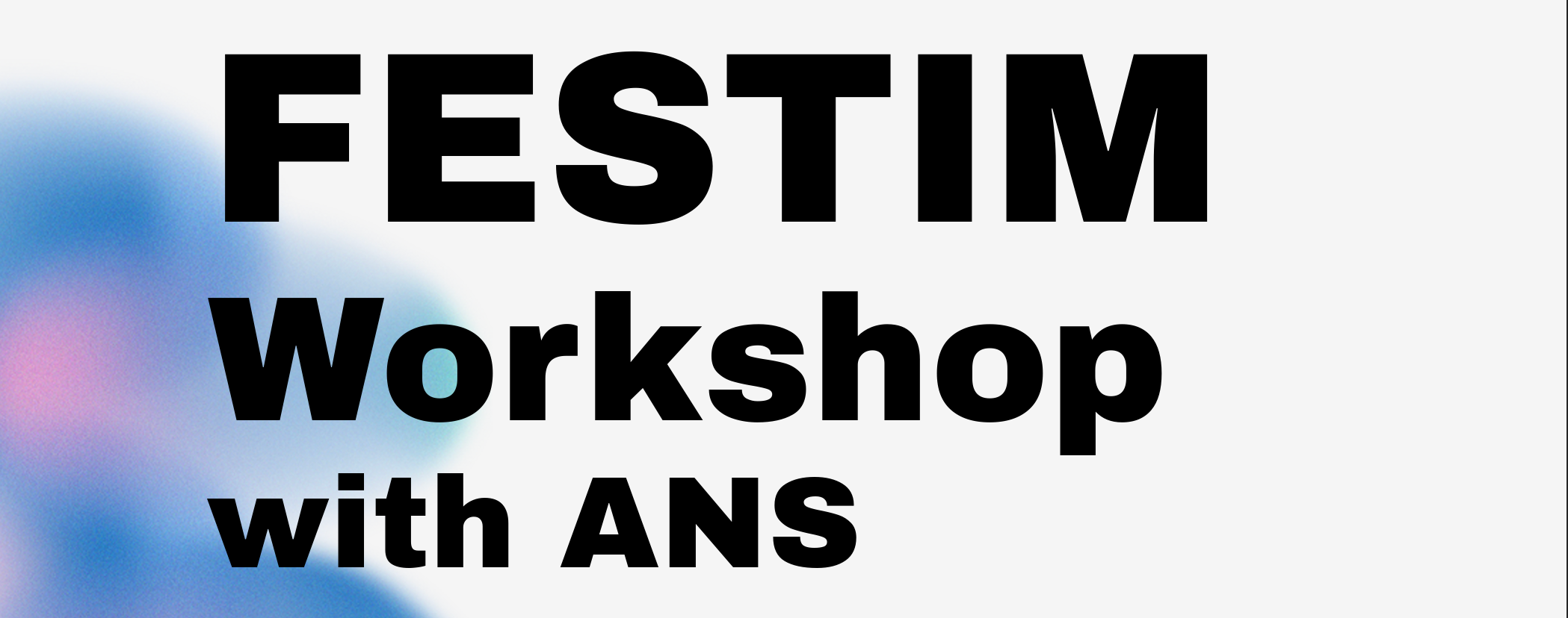FESTIM Workshop 