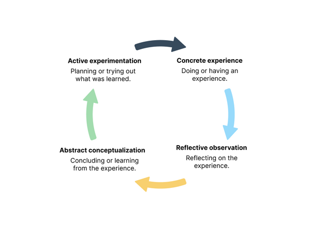 This diagram is a cycle. Each label is connected to the next with a curved arrow, pointing in the clockwise direction. The top right label is “Concrete experience.” Beneath it are the words: “Doing or having an experience.” The arrow moves to the next label, which is “Reflective observation.” Beneath it are the words: “Reflecting on the experience.” The arrow curves to the next label: “Abstract conceptualization.” Beneath it are the words: “Concluding or learning from the experience.” The arrow then moves to the final label: “Active experimentation.” Beneath it are the words: “Planning or trying out what was learned.” The next arrow points back to “Concrete experience,” completing the cycle.