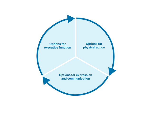 A circle diagram split into three parts. Each part contains a label corresponding to one of the guidelines of the Multiple Means of Action and Expression principle. These are: “Options for physical action,” “Options for expression and communication,” and “Options for executive function.” The outside of the diagram has three curved arrows that all point clockwise. Each arrow covers the perimeter that corresponds to each guideline. The diagram, arrows, and text are blue to match the colour-coding of the principle in the UDL framework.  