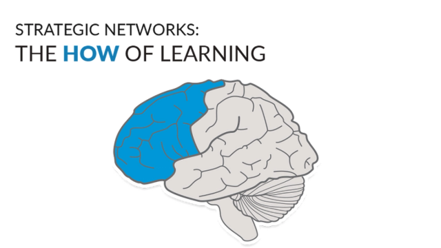 Text appears above an image of the brain. The text reads: “Strategic Networks: The How of Learning.” The brain is situated so the brainstem is on the bottom right with the front of the brain facing left. The front third of the brain is coloured in blue, mapping to the prefrontal cortex.  