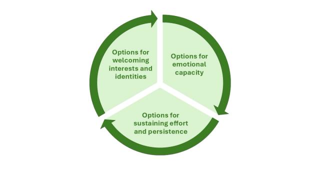 A circle diagram split into three parts. Each part contains a label corresponding to one of the guidelines of the Multiple Means of Engagement principle. These are: “Options for welcoming interests and identities,” “Options for sustaining effort and persistence,” and “Options for emotional capacity.” The outside of the diagram has three curved arrows that all point clockwise, illustrating the cyclical nature of the guidelines in learning design. Each arrow covers the perimeter that corresponds to each guideline. The diagram, arrows, and text are green to match the colour-coding of the principle in the UDL framework.