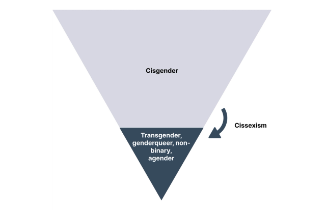 An inverted triangle. The top portion represents 3/4 of the triangle and is coloured light blue. At its centre is the word: “Cisgender.” The bottom portion represents 1/4 of the triangle and is coloured dark blue. At its centre are the words: “Transgender, genderqueer, non-binary, agender.” An arrow outside the boundaries of the triangle points from the top portion to the bottom portion. It is labeled “Cissexism.” 