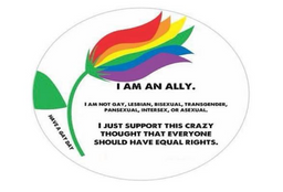 A flower with six petals coloured red, orange, yellow, green, blue, and purple. Beneath it, text reads: “I am an ally. I am not gay, lesbian, bisexual, transgender, pansexual, intersex, or asexual. I just support this crazy thought that everyone should have equal rights. Have a gay day.”