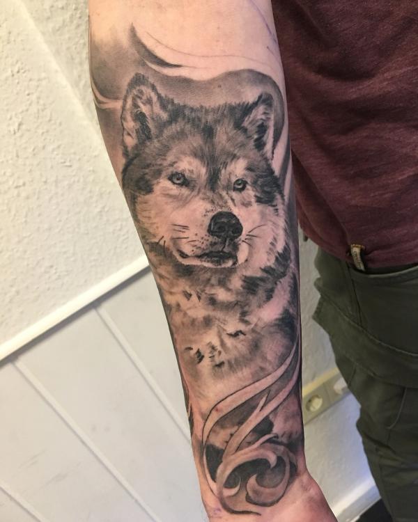 Wolf underarm