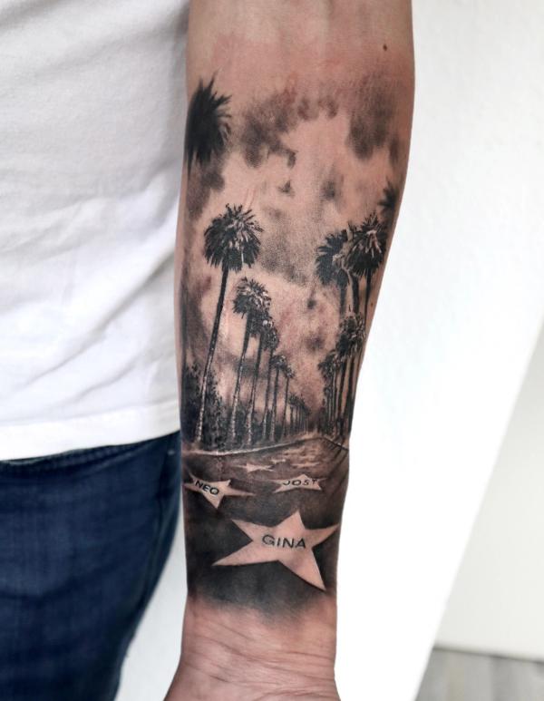 palm trees
