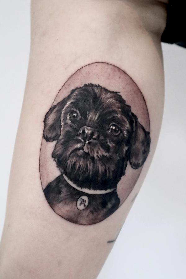 dog portrait