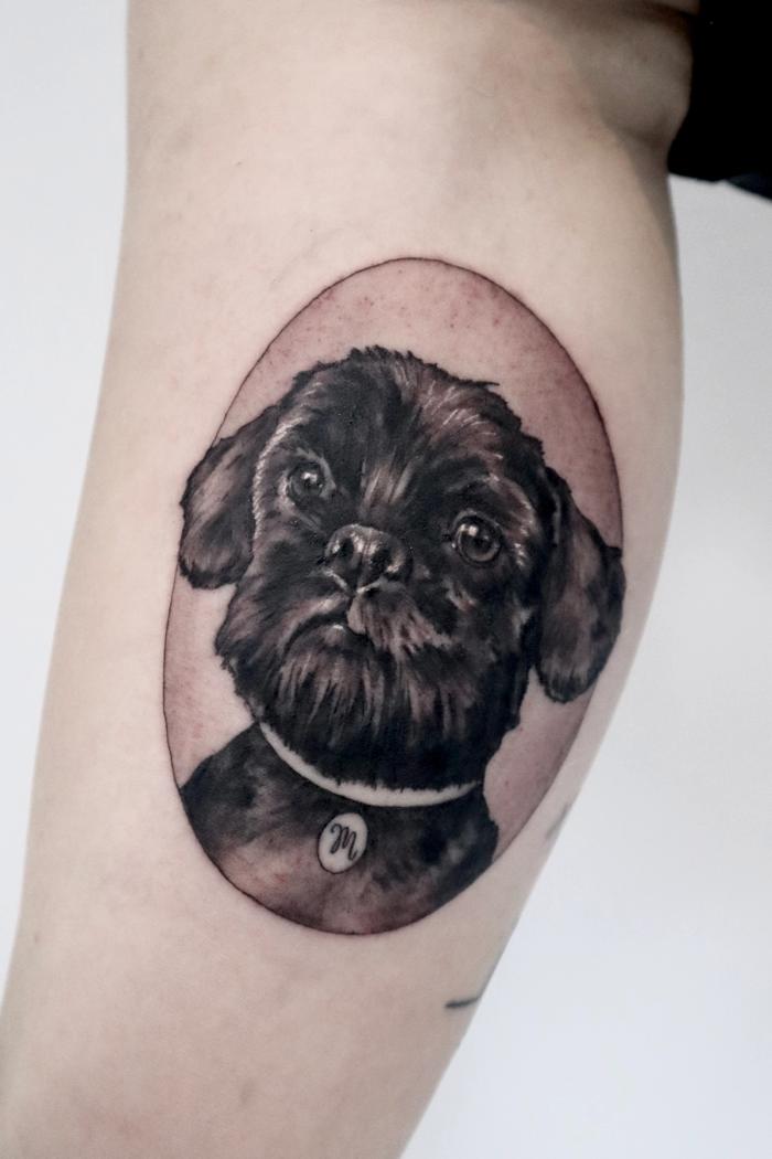 dog portrait