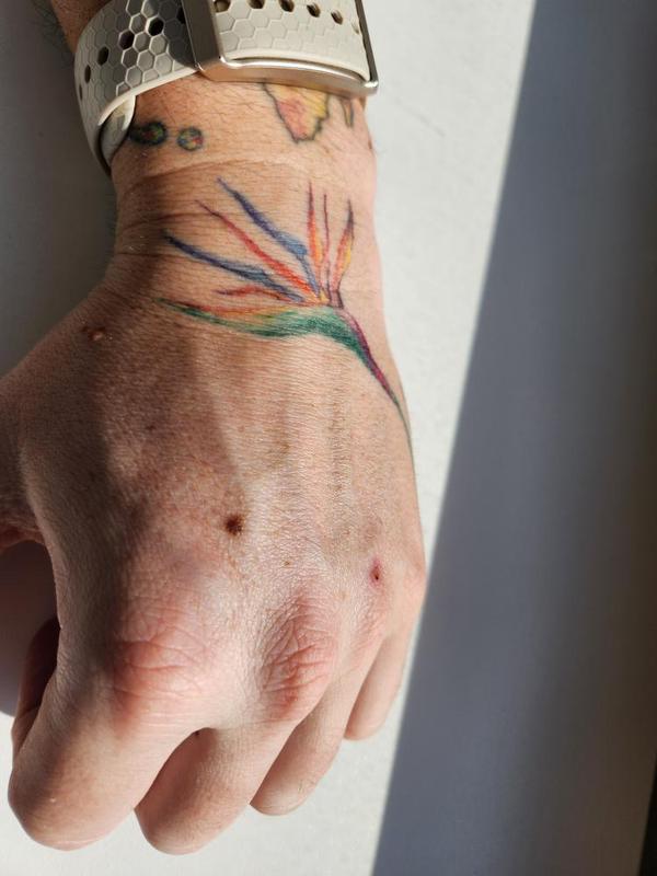 Bird of paradise tattoo